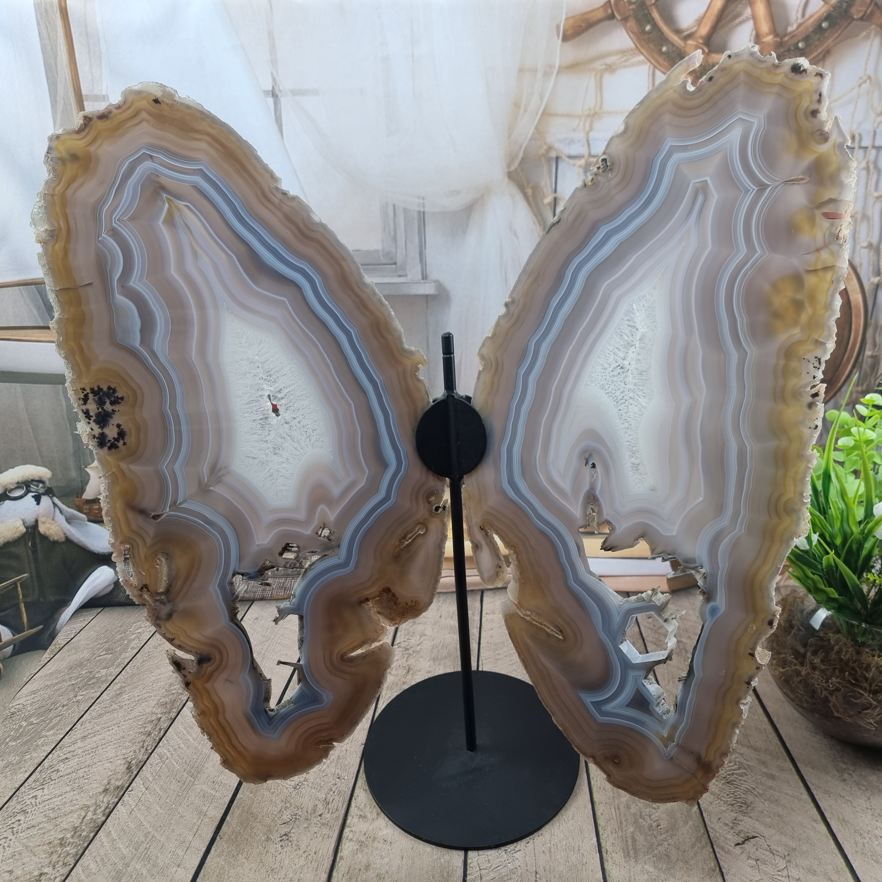 Large agate butterfly
