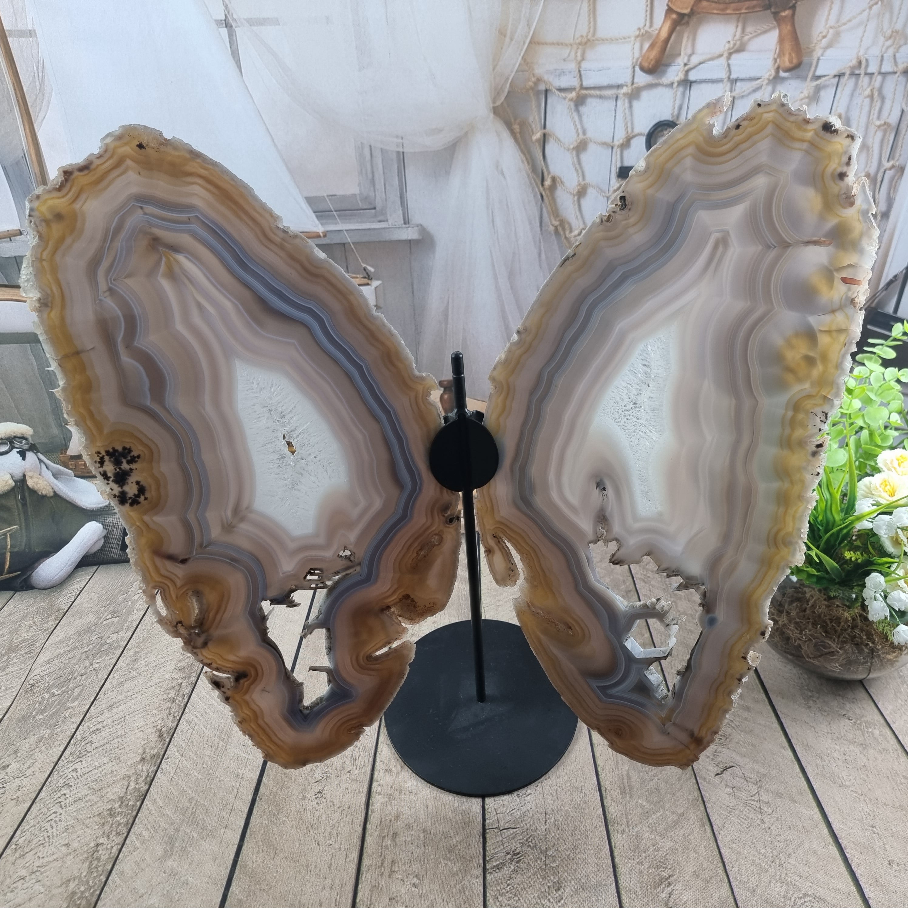 Large agate butterfly