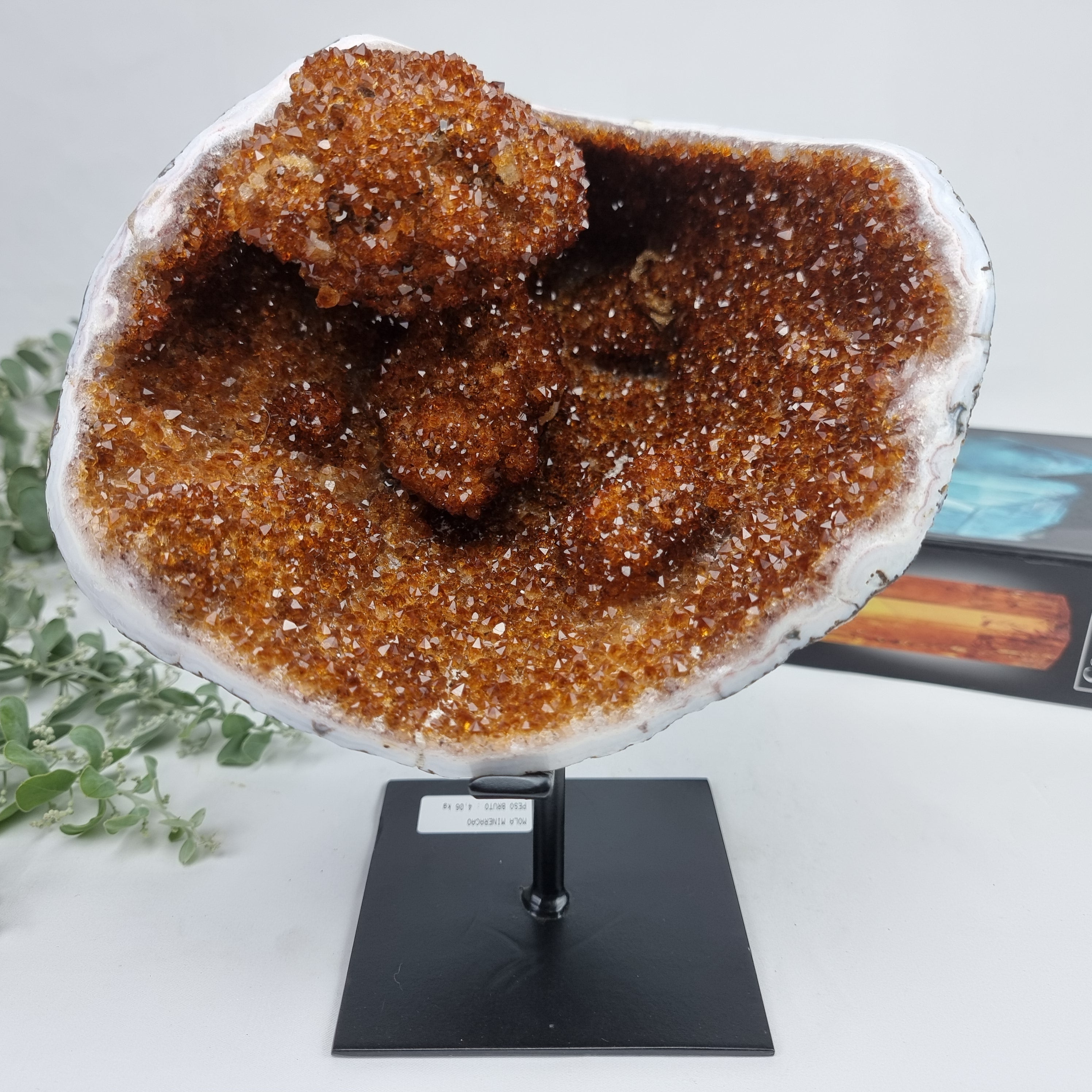 Exotic Super Special CITRINE | Black Iron Base | Weight 4.06 Kgs, Height 25 cm | Handmade Piece BR Crystals