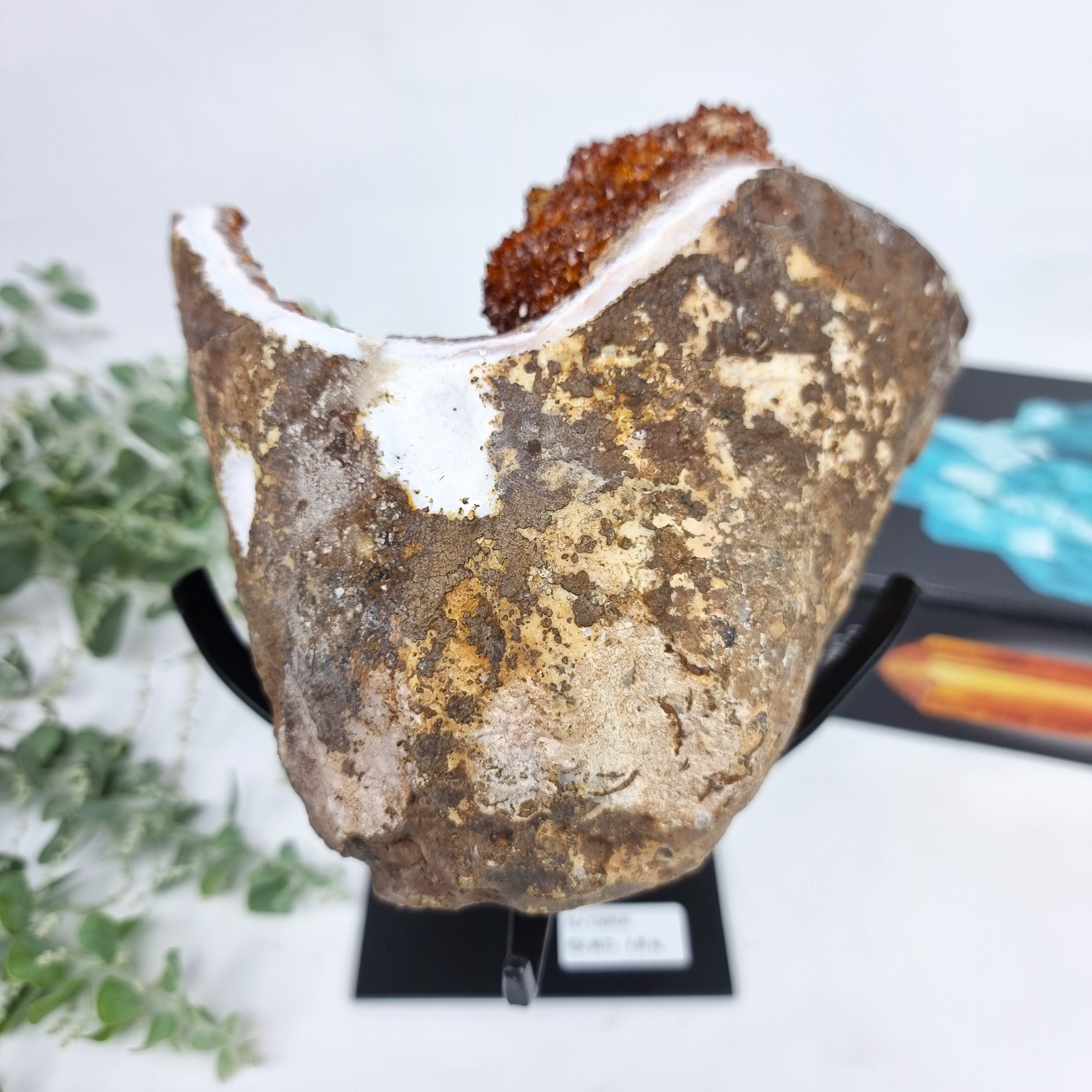 Citrine Crystal Cluster SUPER EXTRA, Metal Stand, 8.95 lbs & 9.45" Tall #by brcrystals