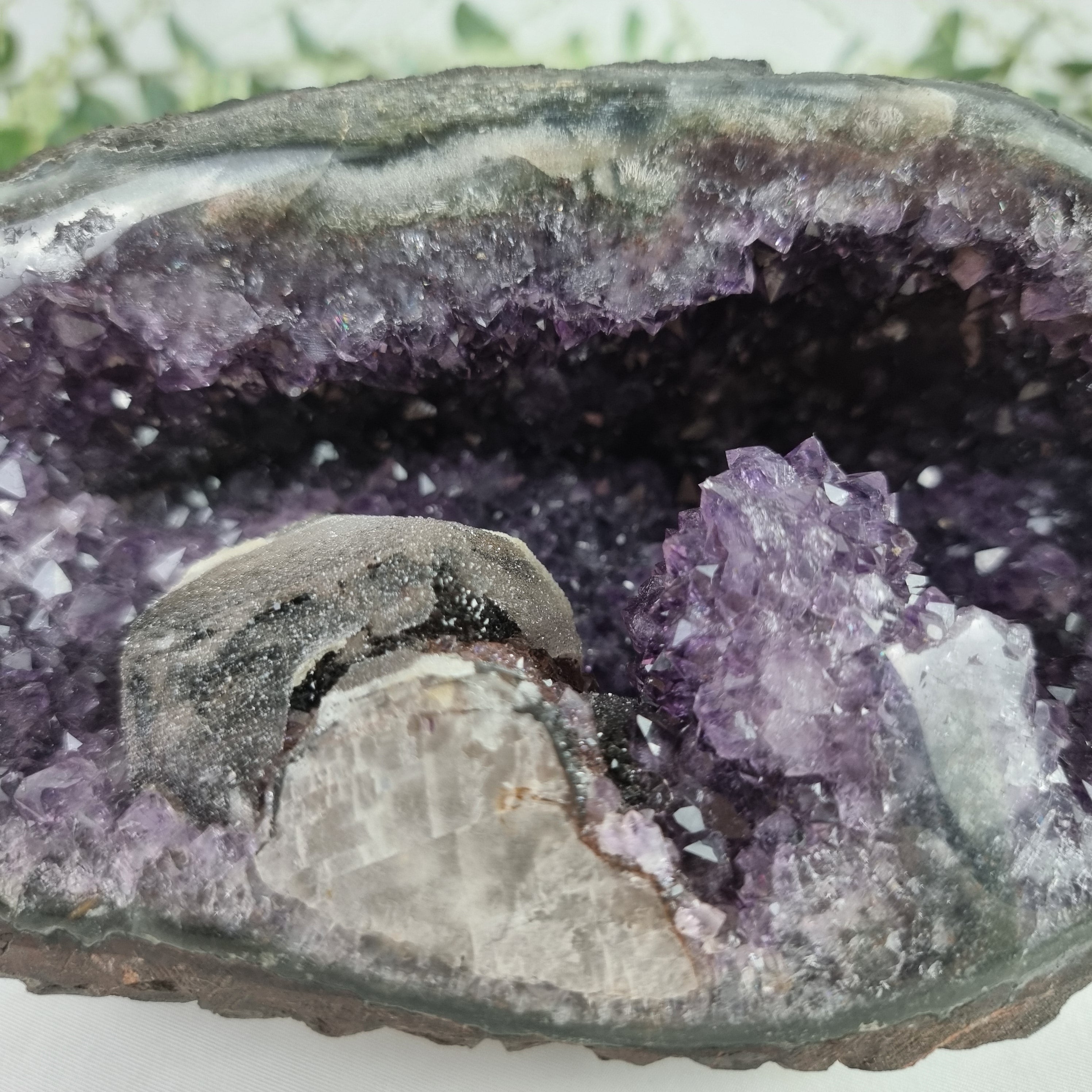 Special Amethyst Druze Shape | Weighs 2.75 kg! 20 cm Length | Energy, Beauty, and Sophistication