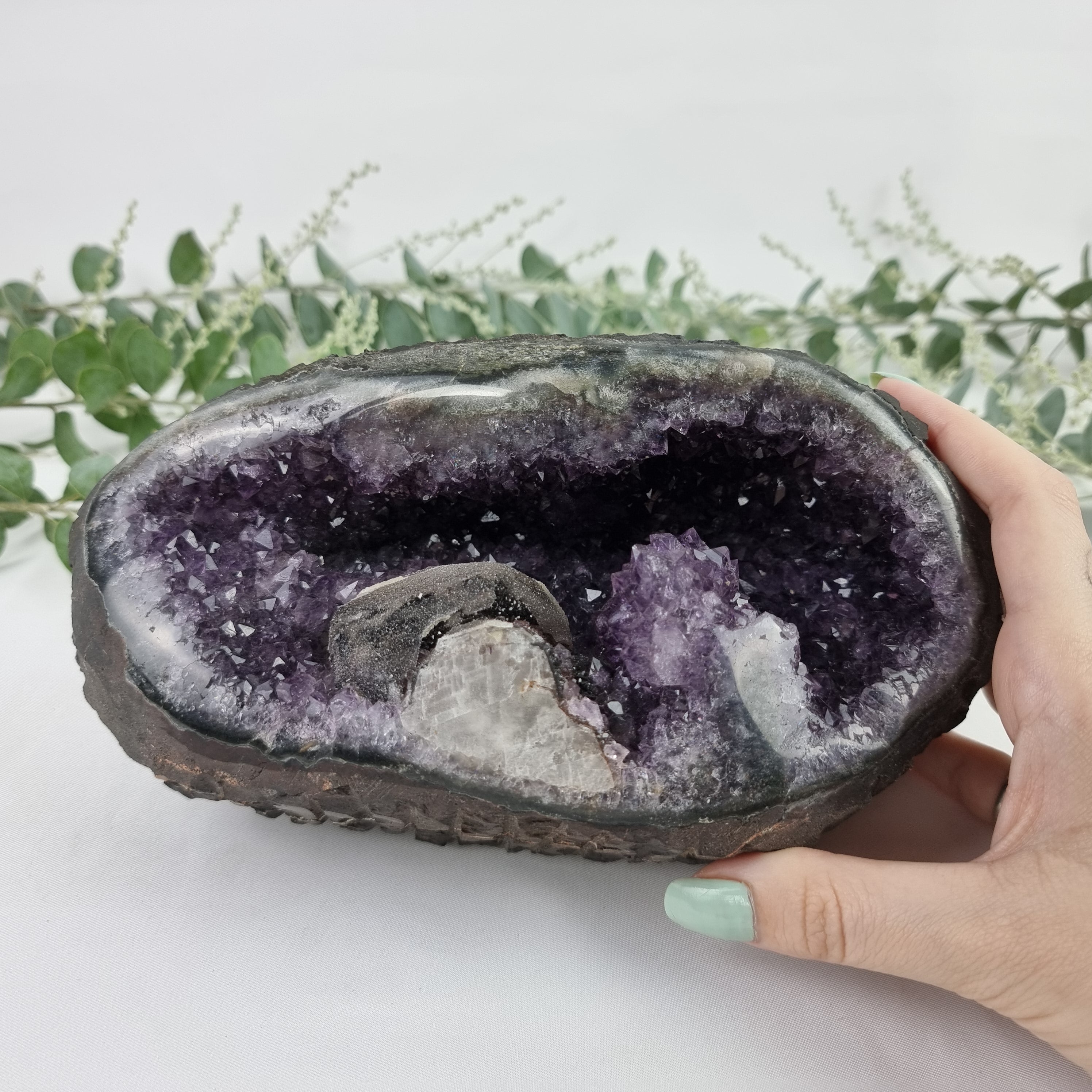 Special Amethyst Druze Shape | Weighs 2.75 kg! 20 cm Length | Energy, Beauty, and Sophistication