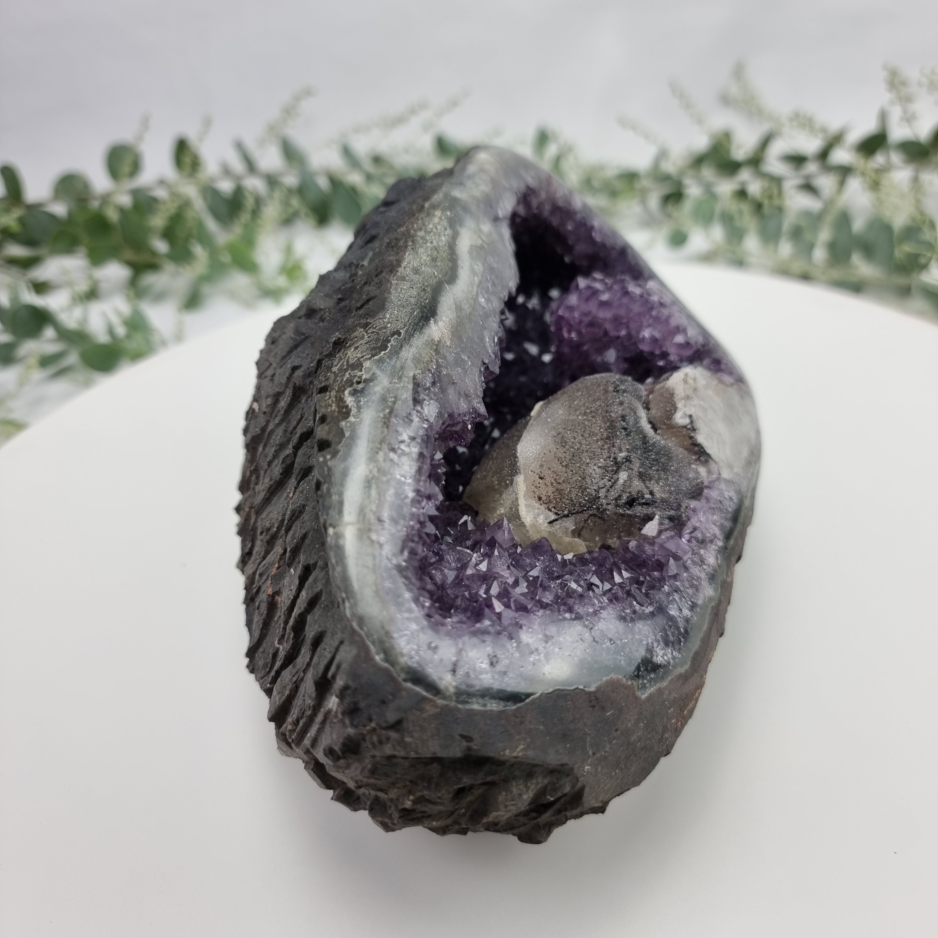 Special Amethyst Druze Shape | Weighs 2.75 kg! 20 cm Length | Energy, Beauty, and Sophistication