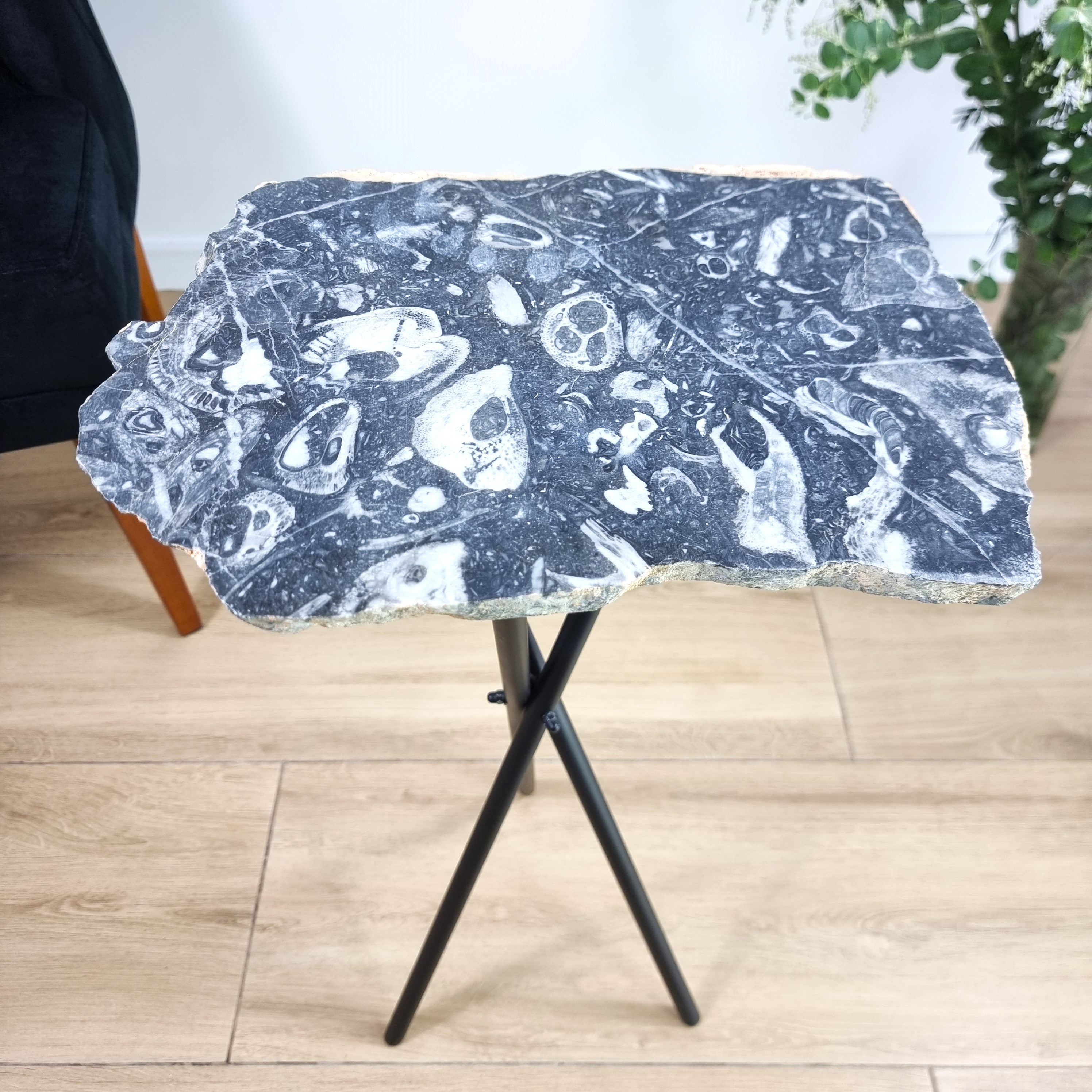 Side Table - Jasper Skull Table Black legs 23 inches high, total weight 11 pounds