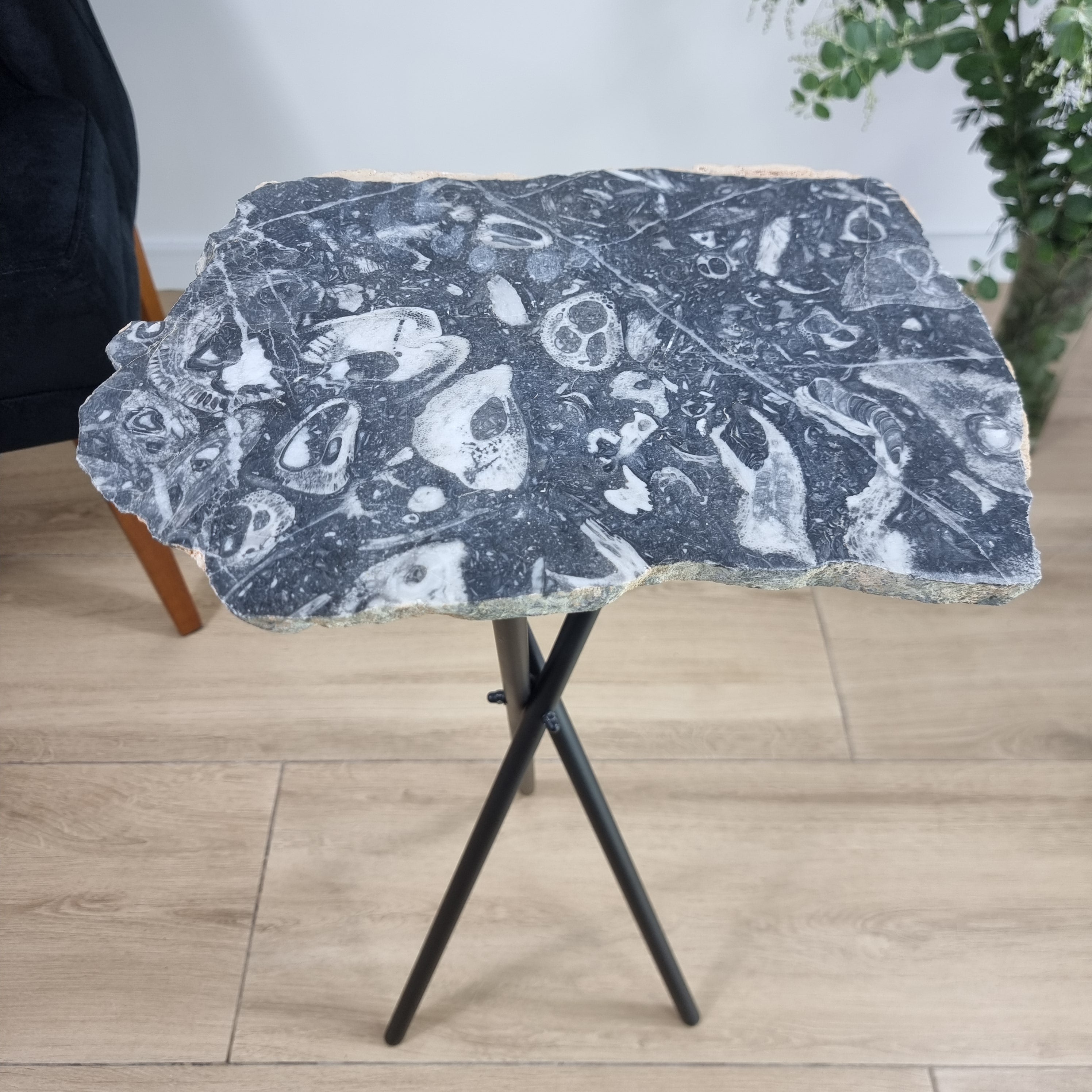 Side Table - Jasper Skull Table Black legs 23 inches high, total weight 11 pounds