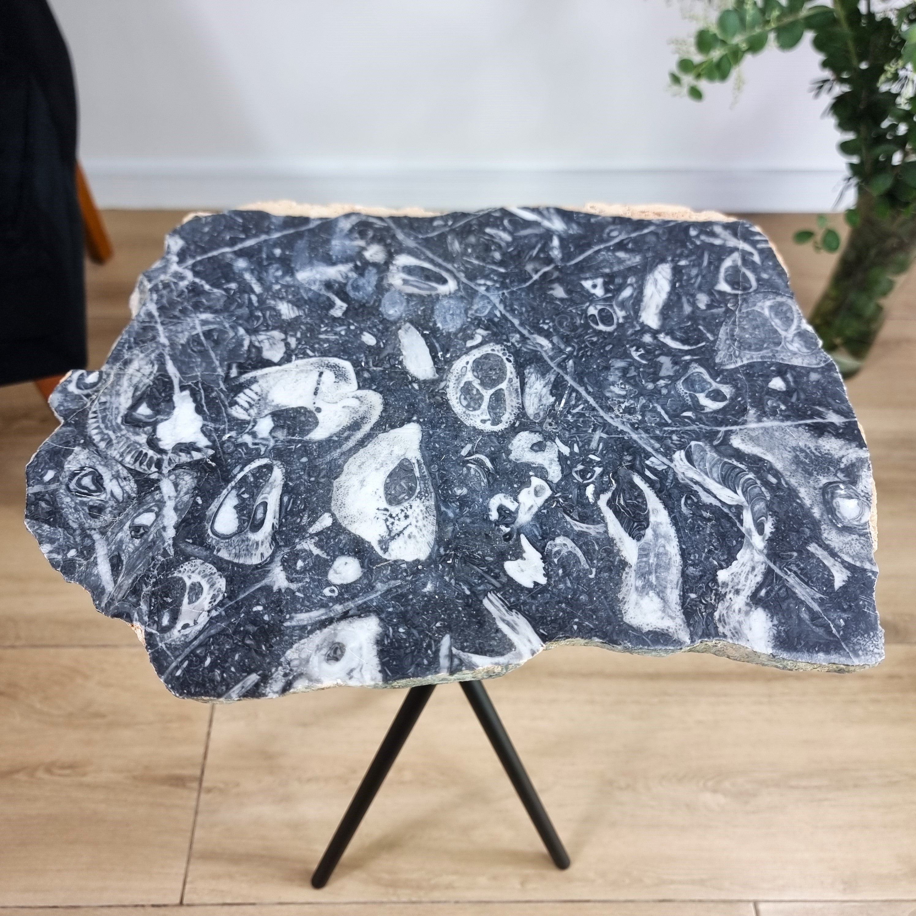 Side Table - Jasper Skull Table Black legs 23 inches high, total weight 11 pounds