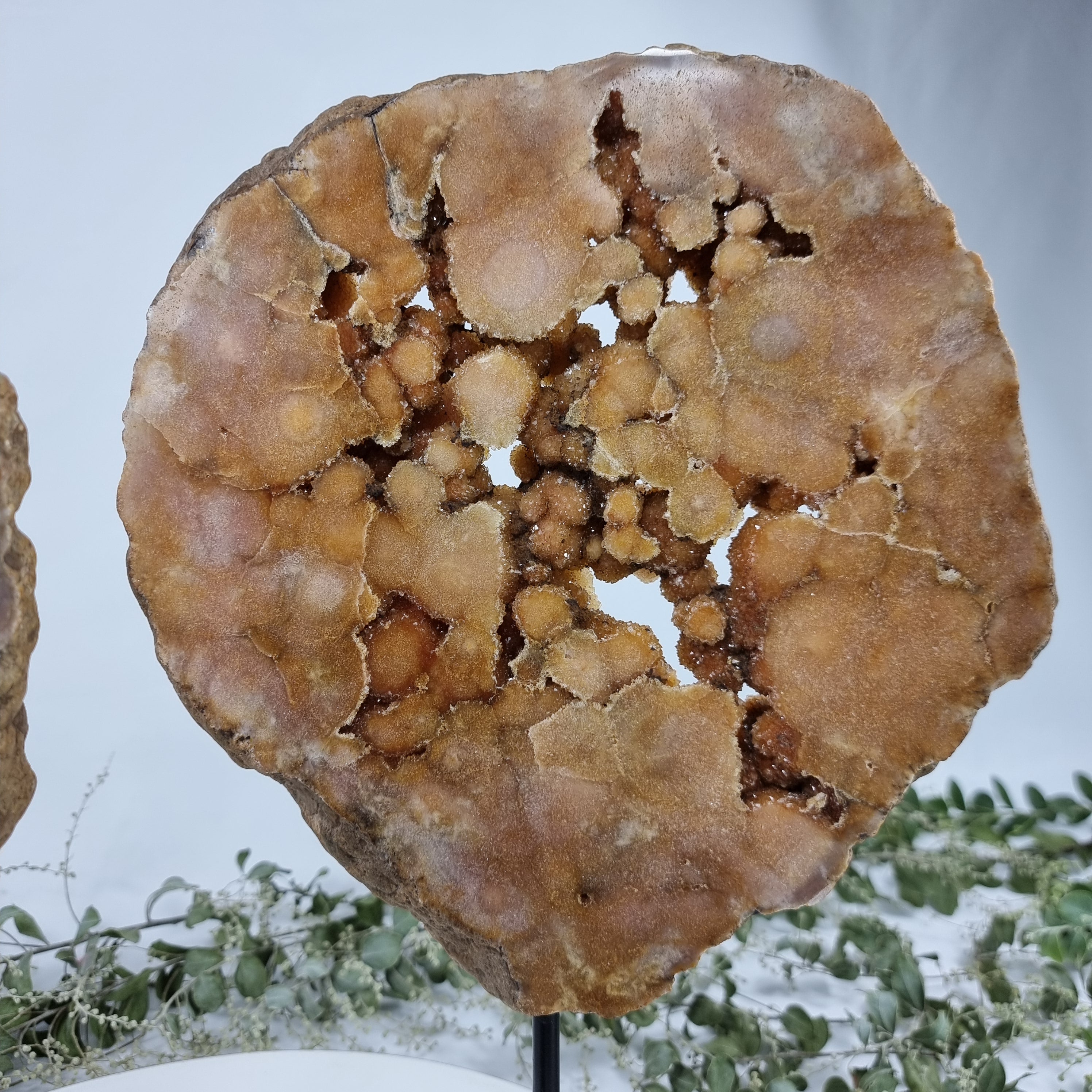 Drusa de Amatista Rosa Especial | Kit 2 Piezas, Base de Hierro Negro | Peso 5,66 kgs, Altura 37 cm | Energía, Belleza y Sofisticación