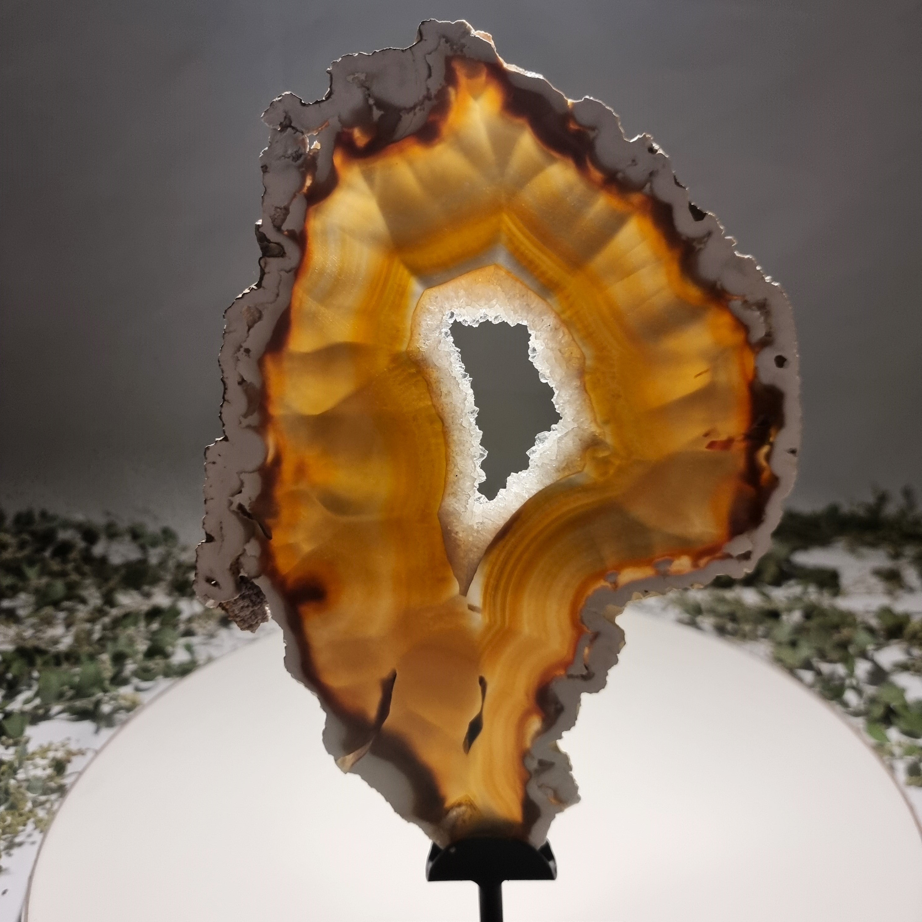 Special Large Natural Brazilian Agate Slice on a Metal Stand, 13.0" Tall Weight: 3,54 lbs - Set of 02
