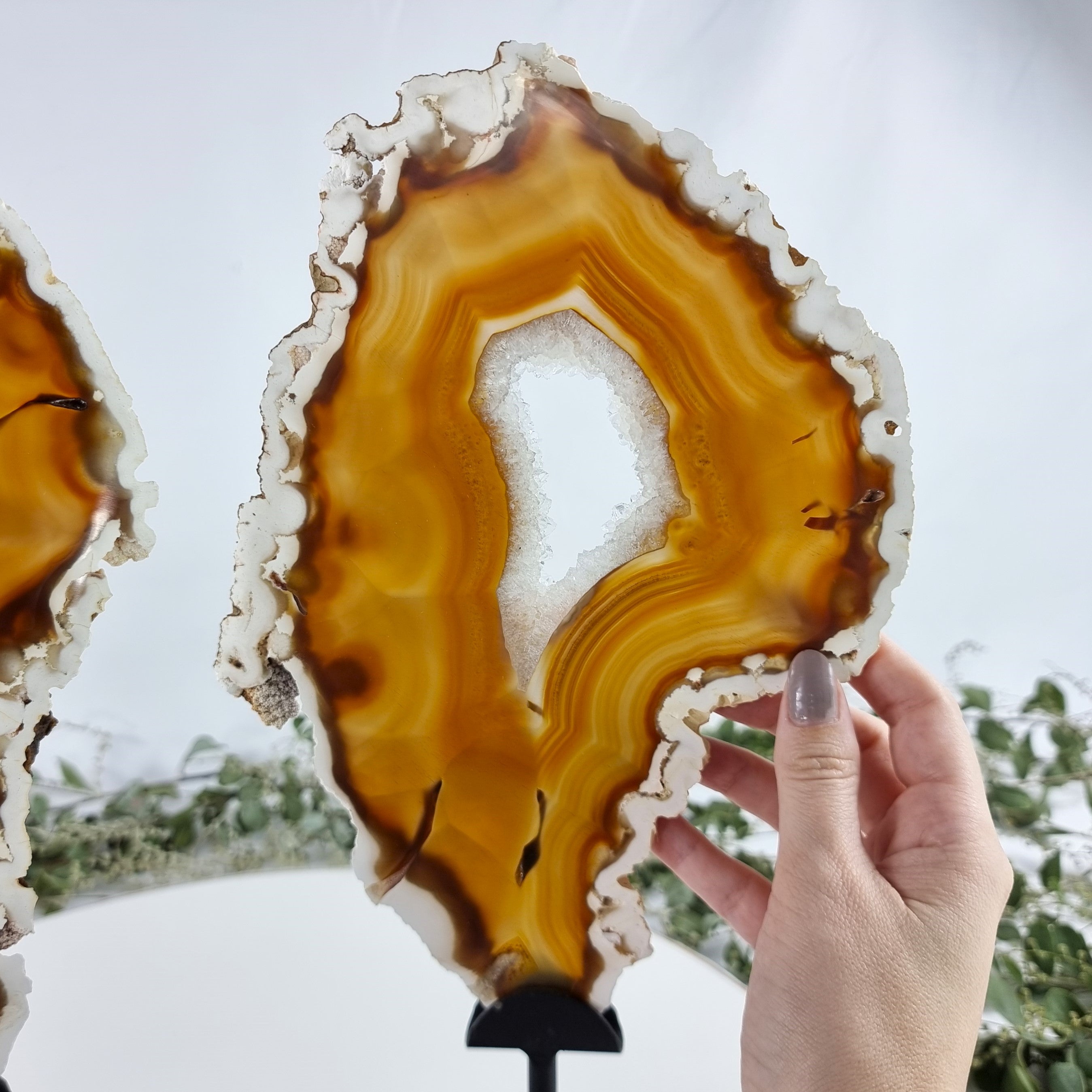 Special Large Natural Brazilian Agate Slice on a Metal Stand, 13.0" Tall Weight: 3,54 lbs - Set of 02