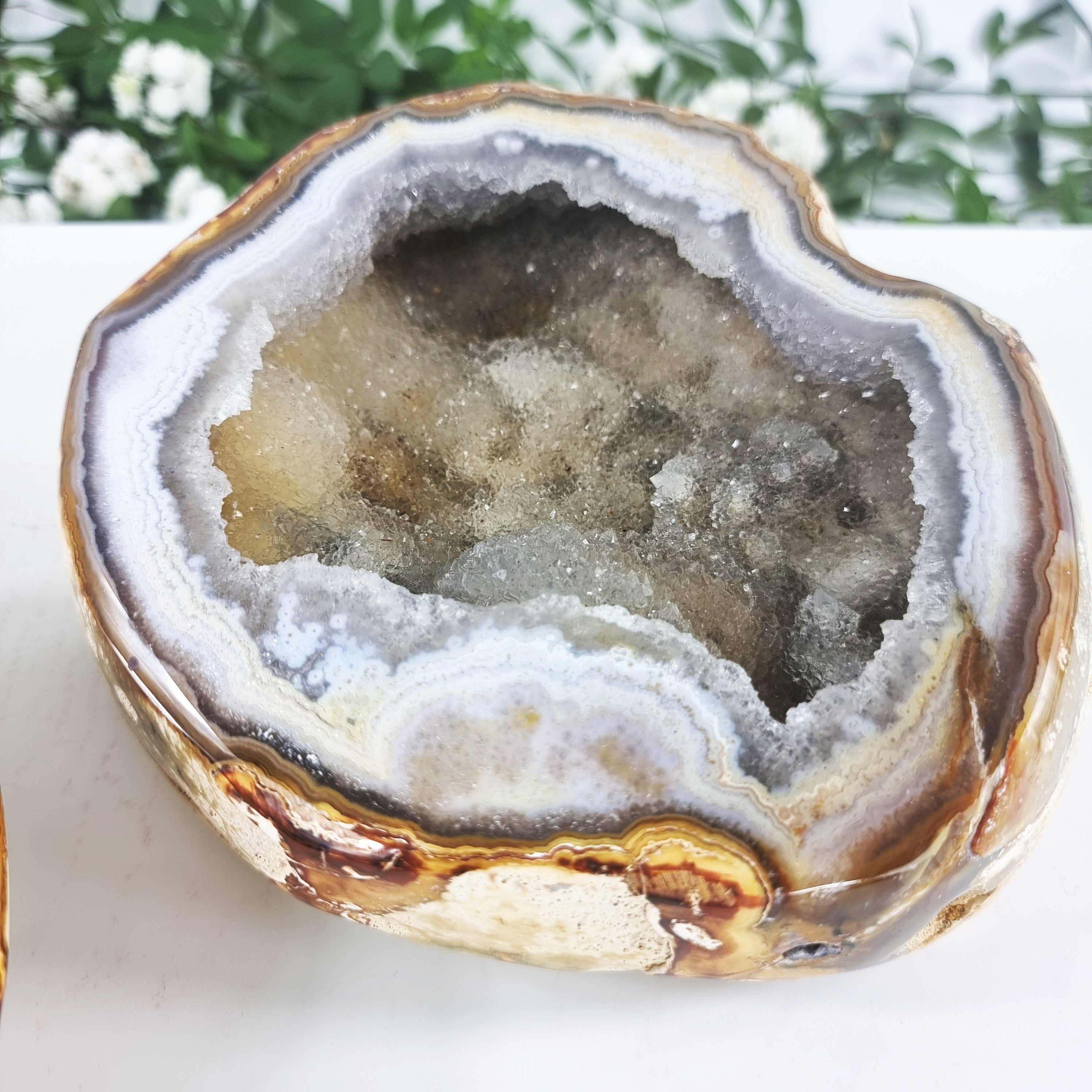 Agate Geode "Jewelry Box", Best Quality, 5.70 lbs & 4.33" Tall #by Brcrystals