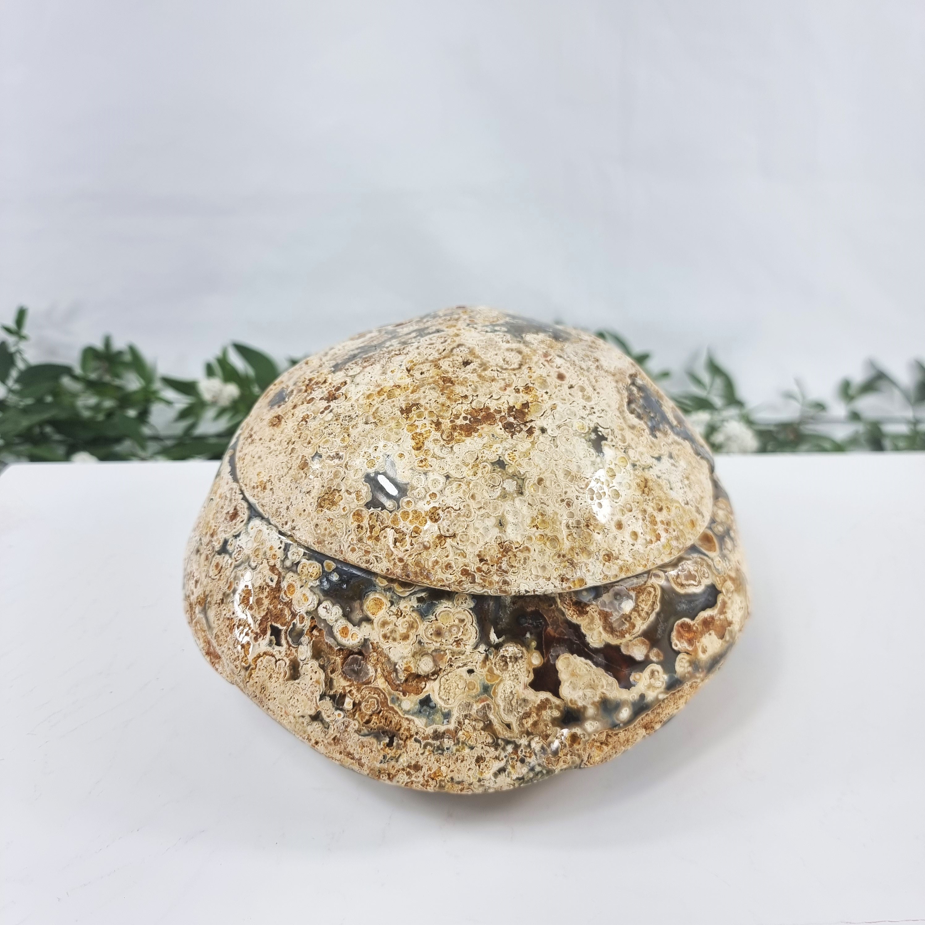 Agate Geode "Jewelry Box", Best Quality, 8.44 lbs & 4.72" Tall #by Brcrystals