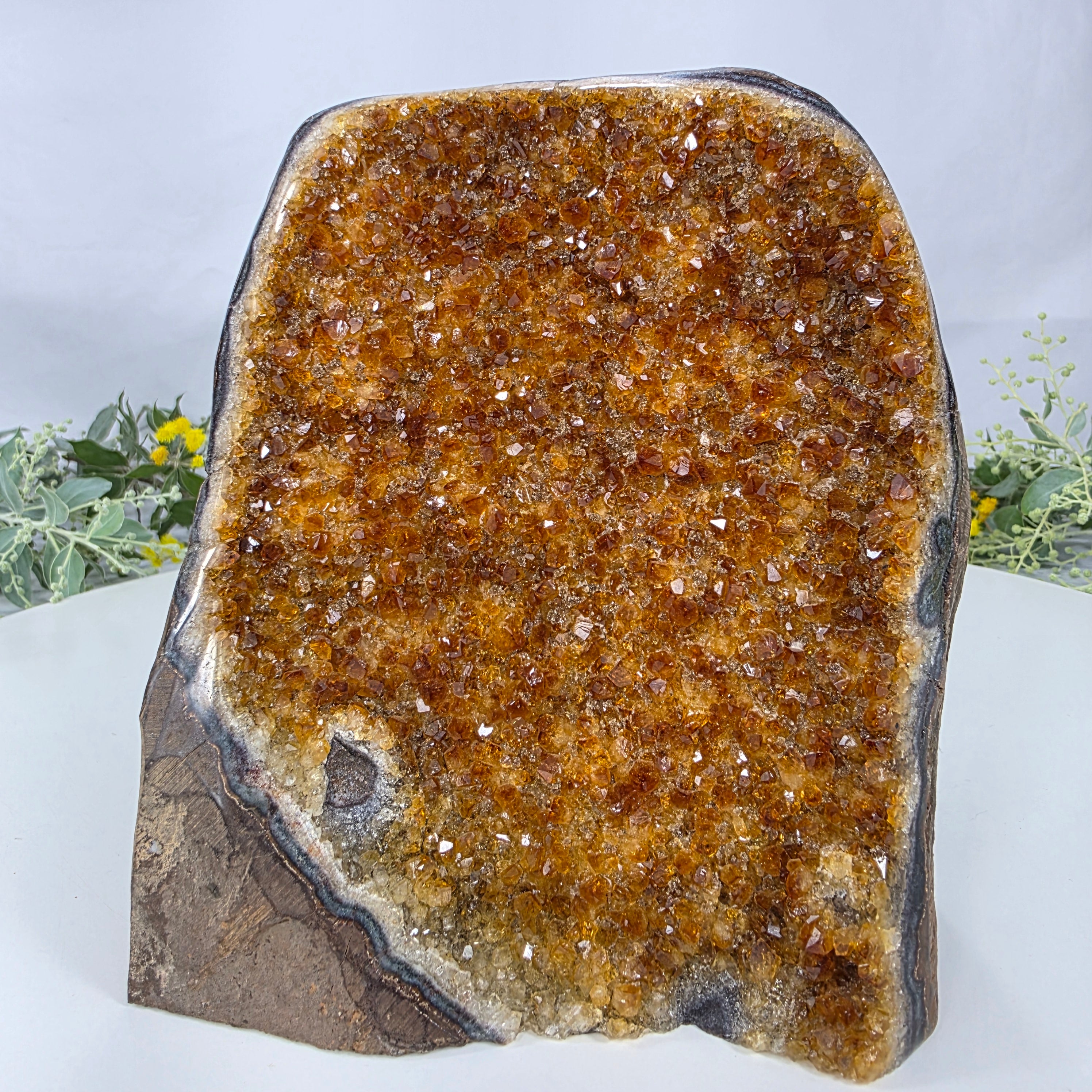 Drusa de Citrino Especial | Peso 1,15 Kgs, Altura de 14 cm | Peça Artesanal BR Crystals
