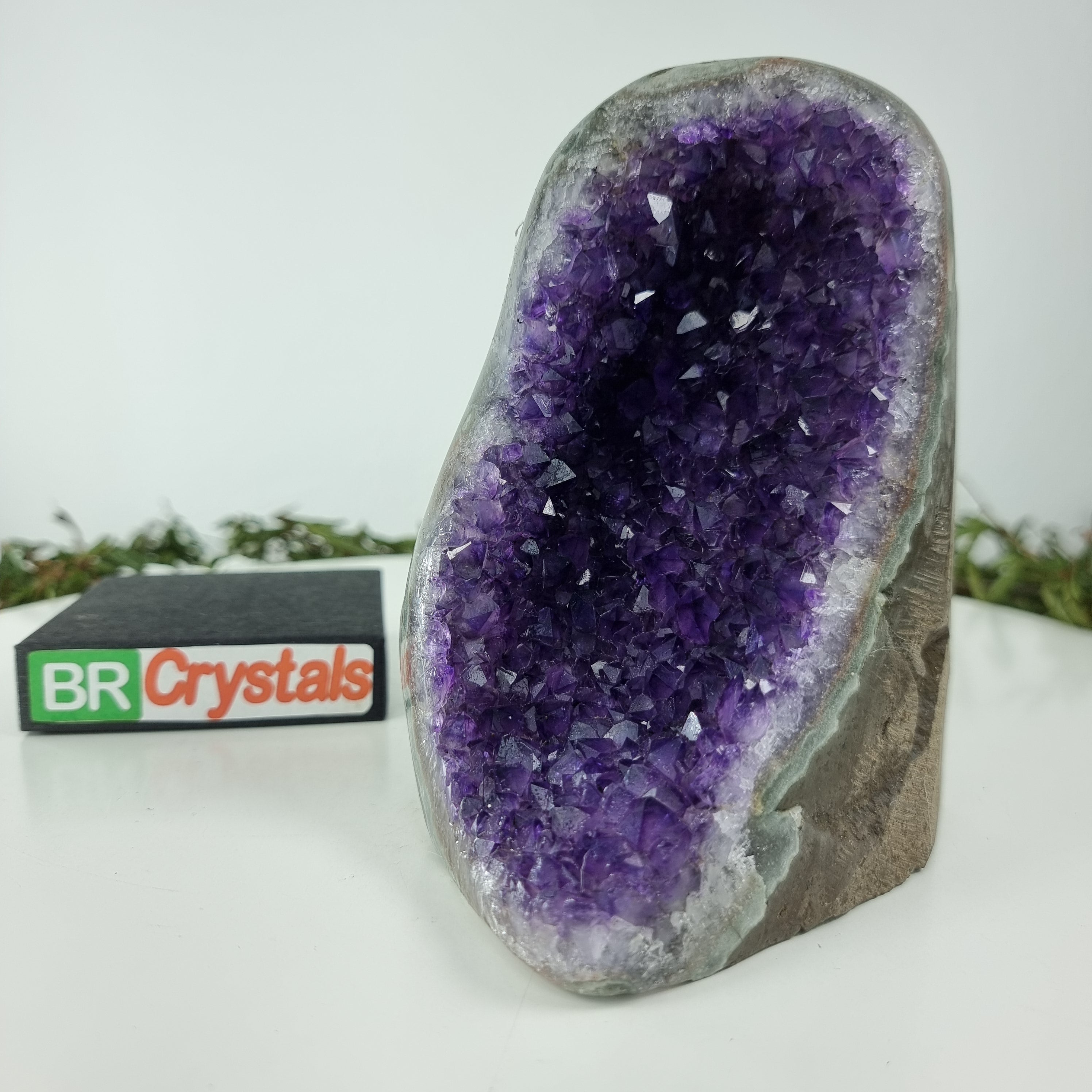 Drusa de Amatista con Cristales Especiales, 1,50 Kgs, Energía, Belleza y Sofisticación