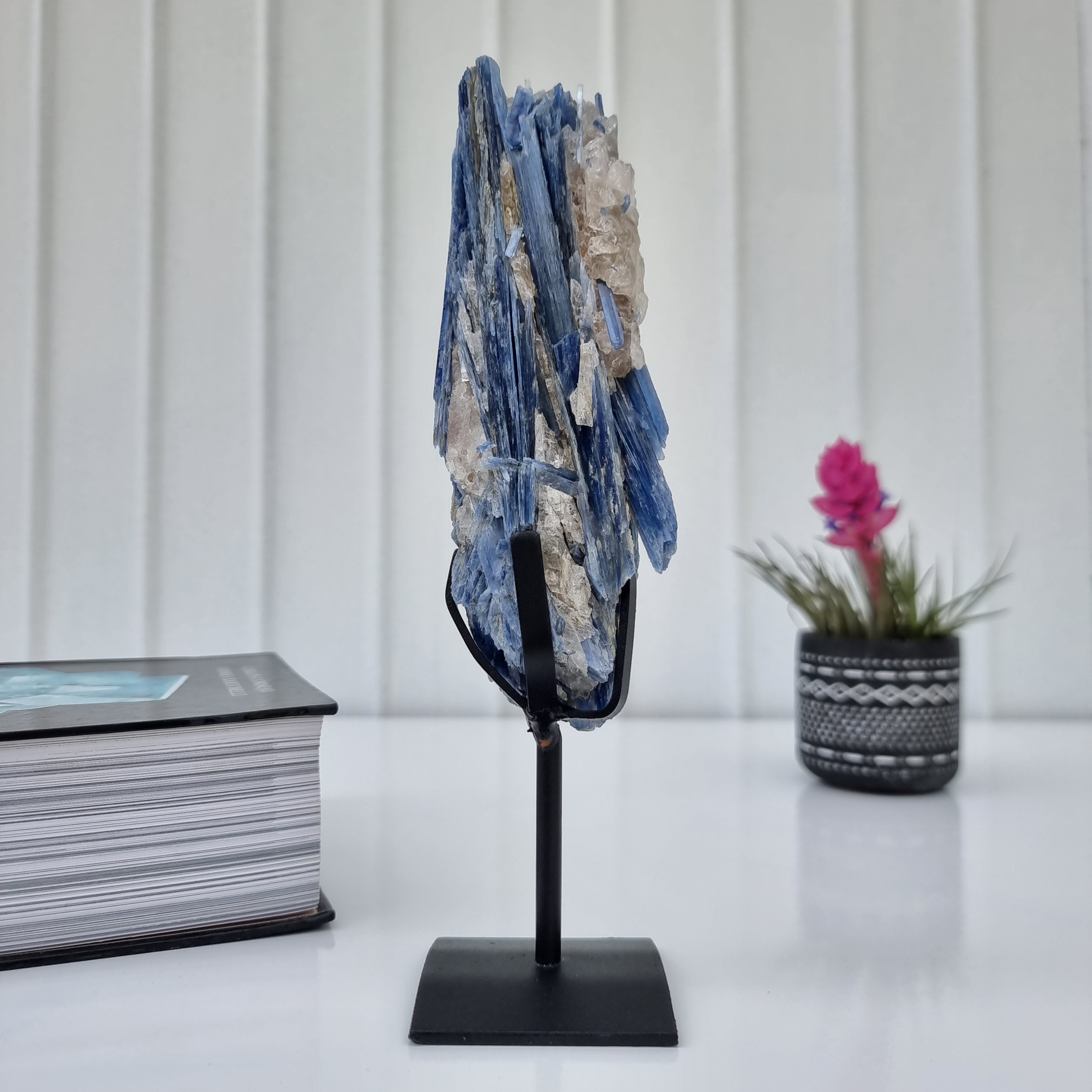 Special Natural Kyanite | Weight 0.70 Kgs, Height 24 cm | Energy, Beauty and Sophistication
