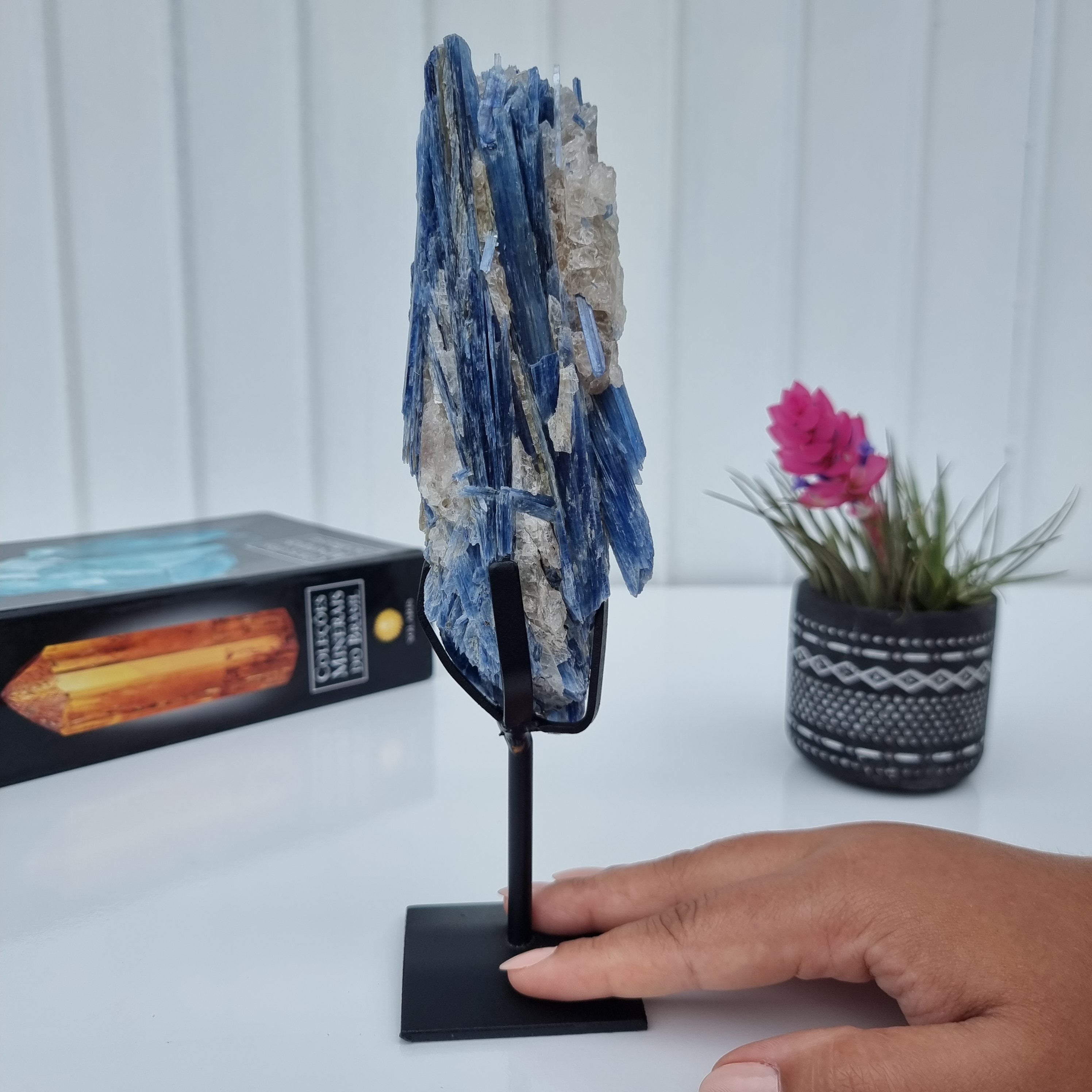 Special Natural Kyanite | Weight 0.70 Kgs, Height 24 cm | Energy, Beauty and Sophistication