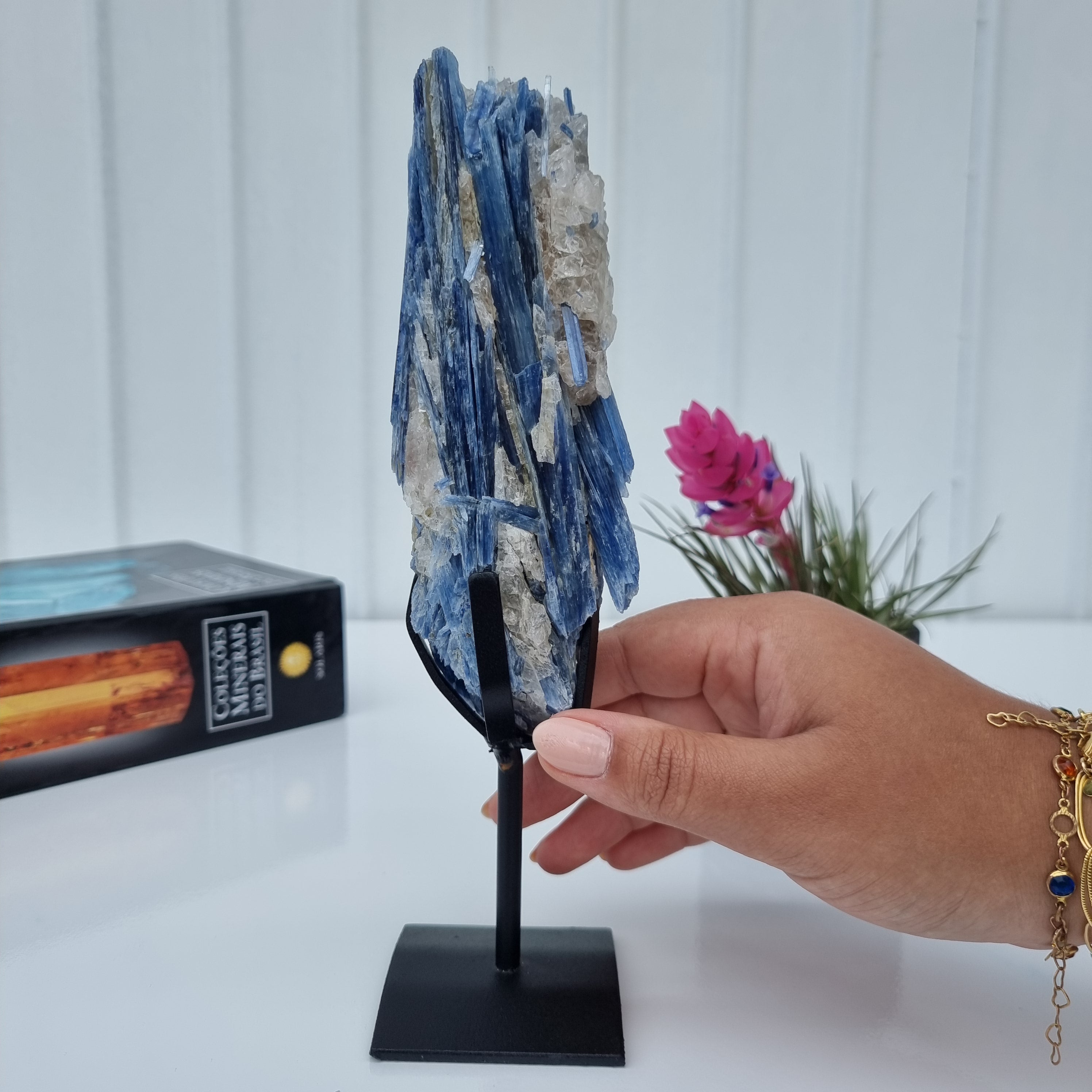 Special Natural Kyanite | Weight 0.70 Kgs, Height 24 cm | Energy, Beauty and Sophistication