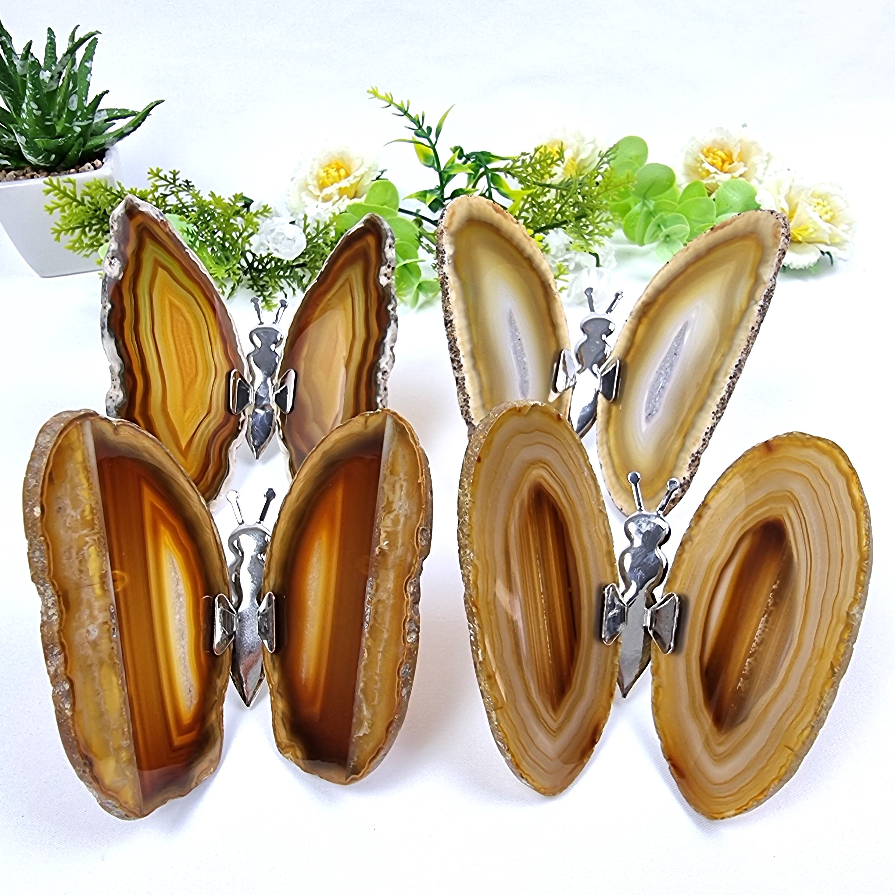 Agate Wings Butterfly set of 4 pieces, Agate Slice Butterfly, size 3 to 4 inches, available in different colors