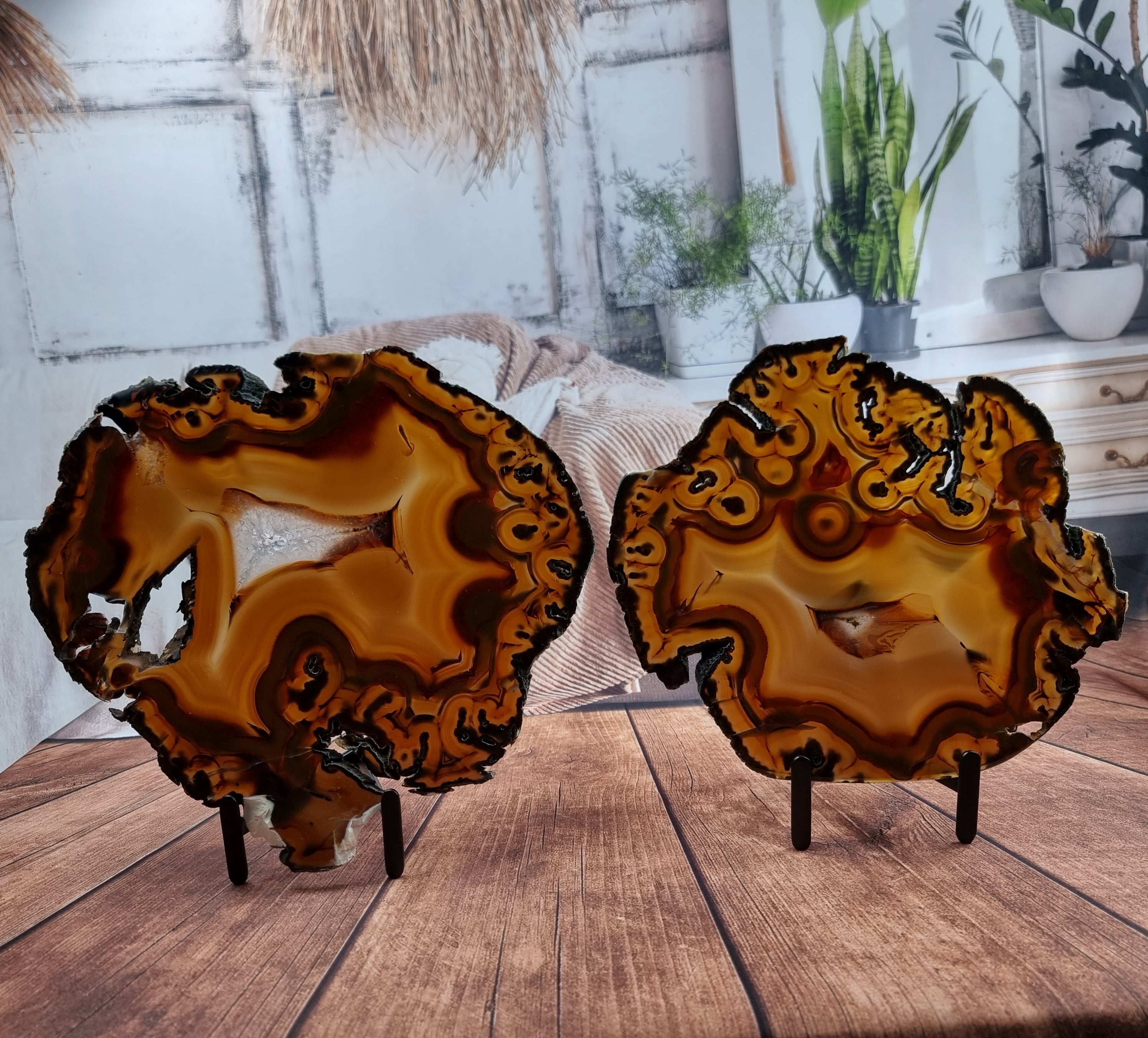 Chapas de Àgatas SUPER ESPECIAIS | Base de Ferro Preta | 2 Unidades | Peça Artesanal BR Crystals