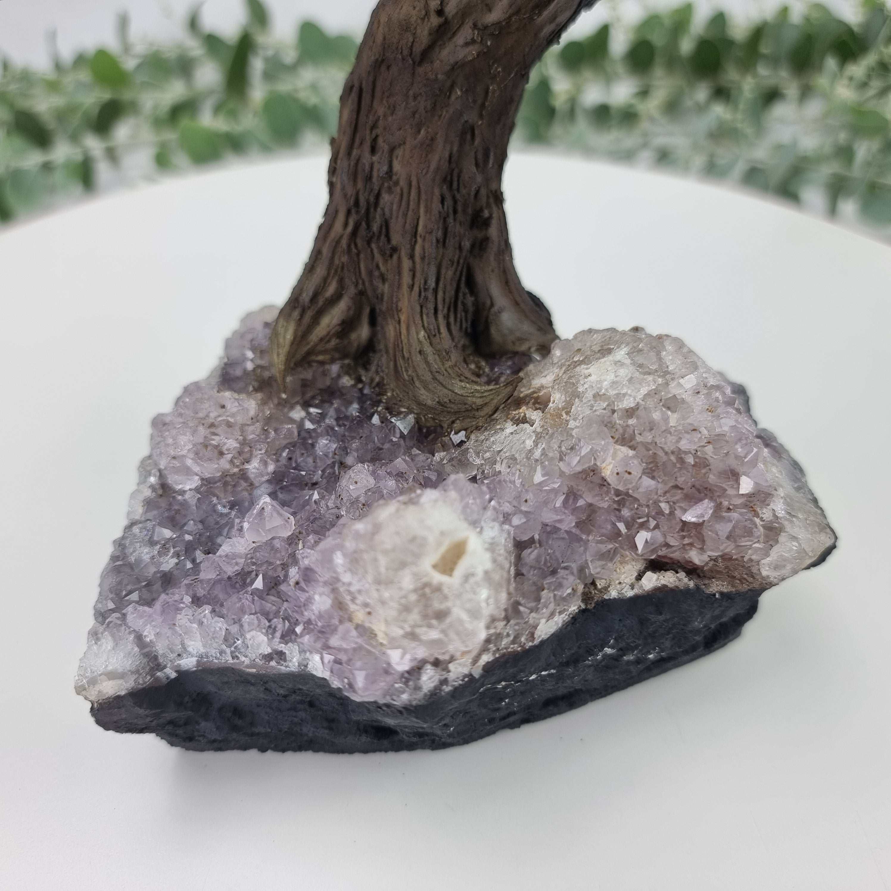 9" Tall Handmade Gemstone Amethyst Tree on a Amethyst Cluster base, 120 Total Gems Model, 9 Gems Options Available