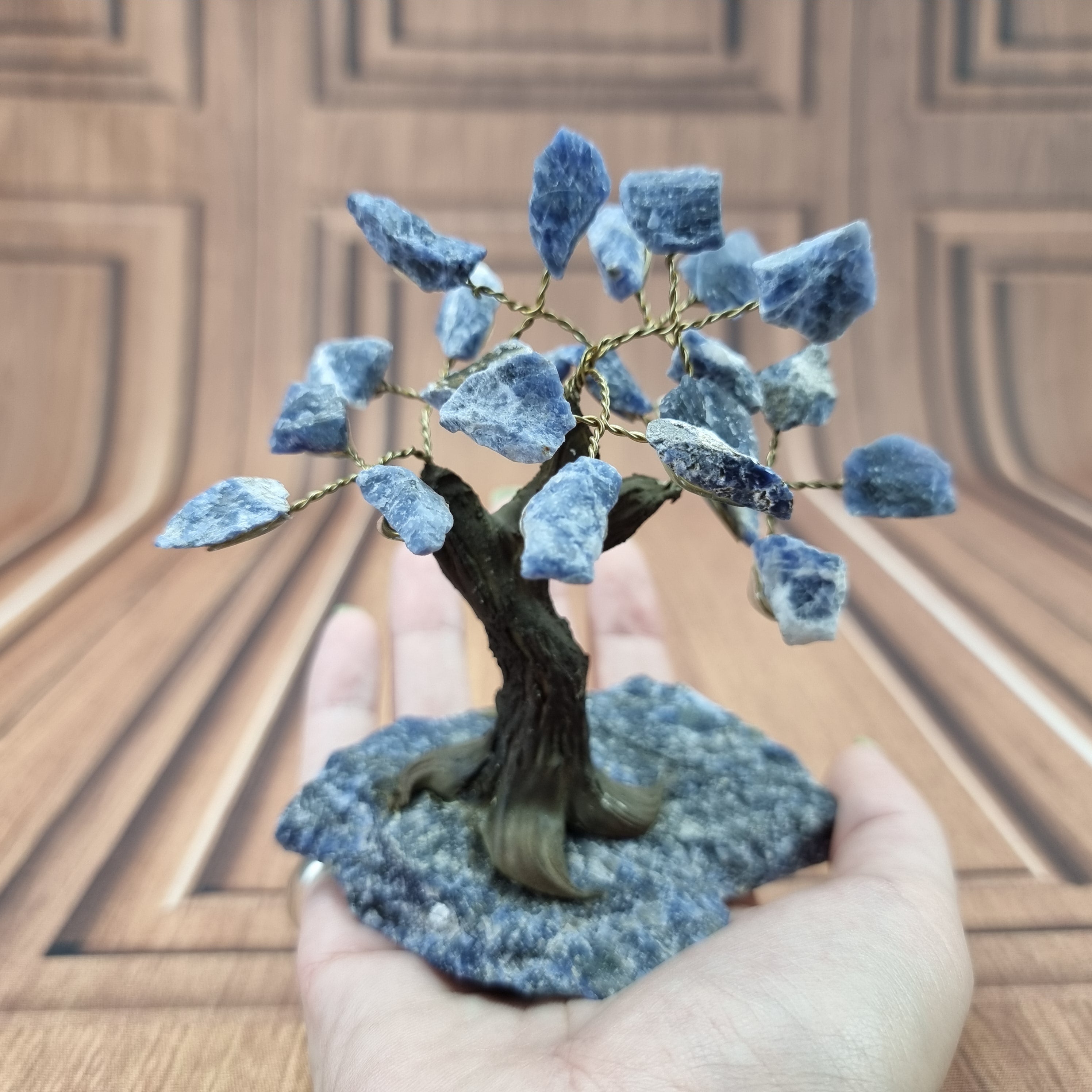 5" Tall Rough Sodalite Tree, Sodalite Base, 24 Gems Total Model, 8 branches