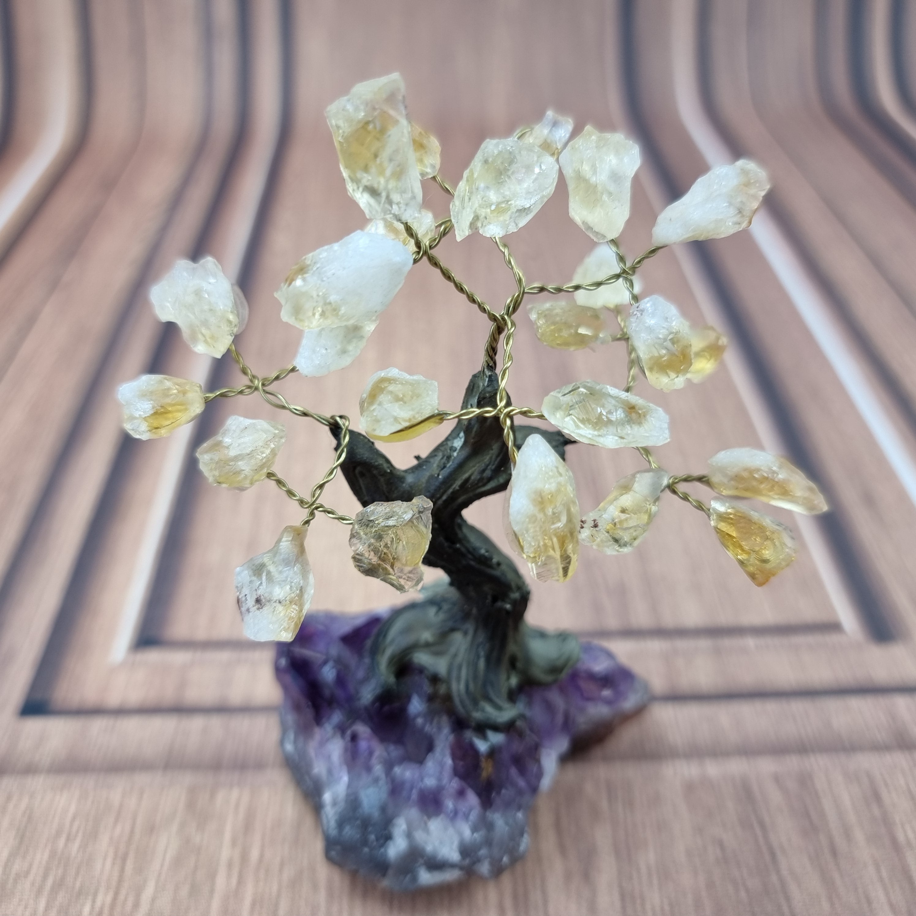 5" Tall Rough Citrine Tree, Amethyst Base, 24 Gems Total Model, 8 branches