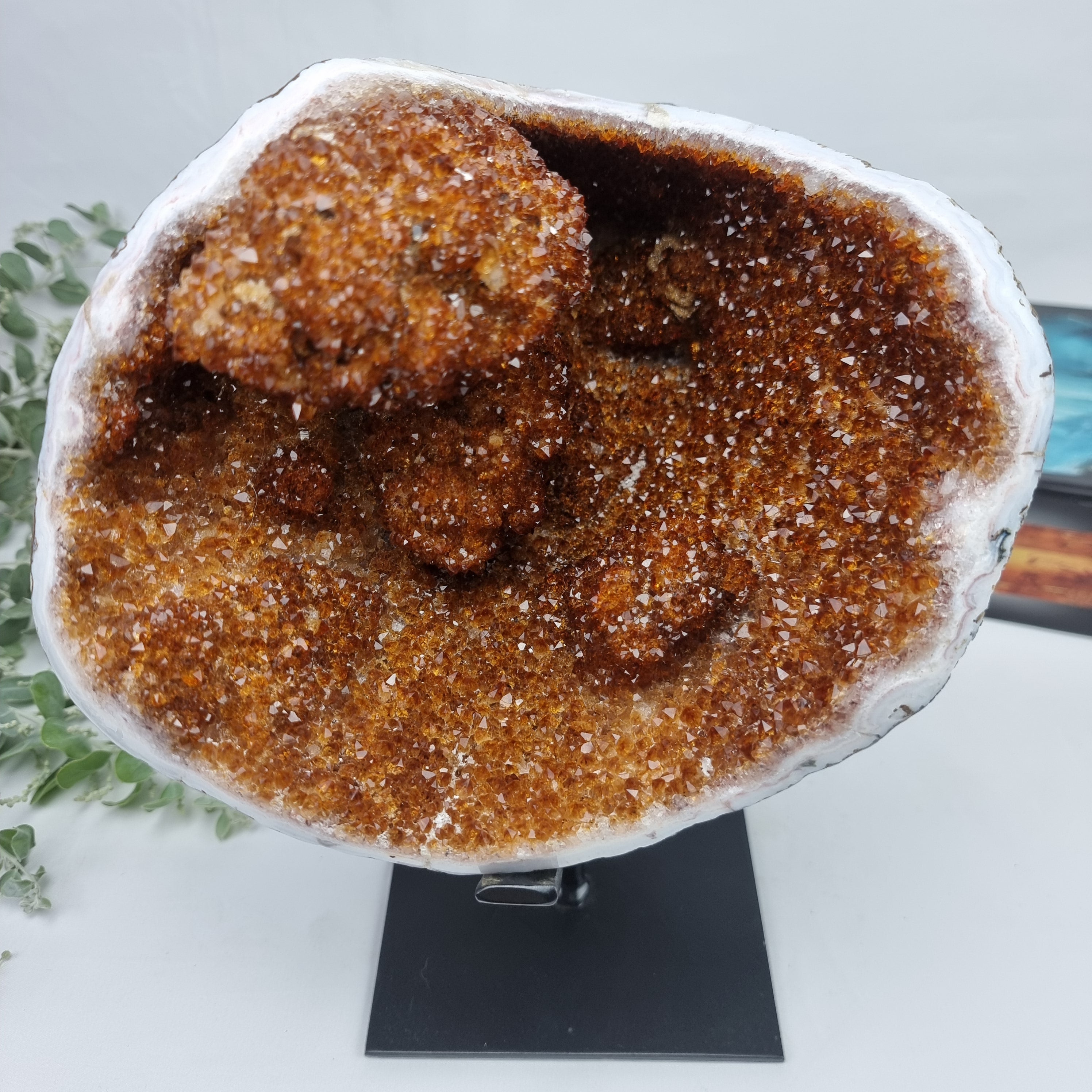 Exotic Super Special CITRINE | Black Iron Base | Weight 4.06 Kgs, Height 25 cm | Handmade Piece BR Crystals