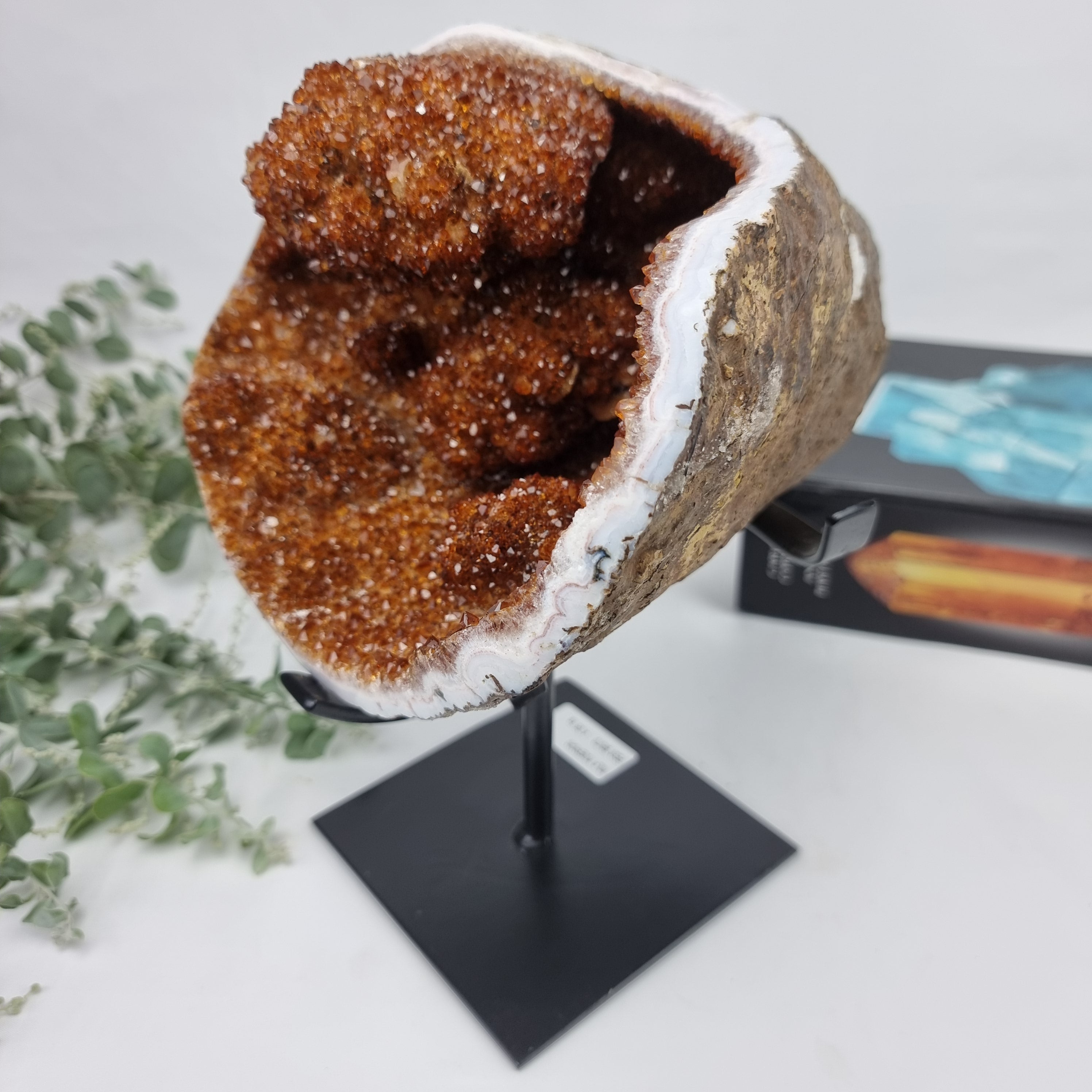 Exotic Super Special CITRINE | Black Iron Base | Weight 4.06 Kgs, Height 25 cm | Handmade Piece BR Crystals