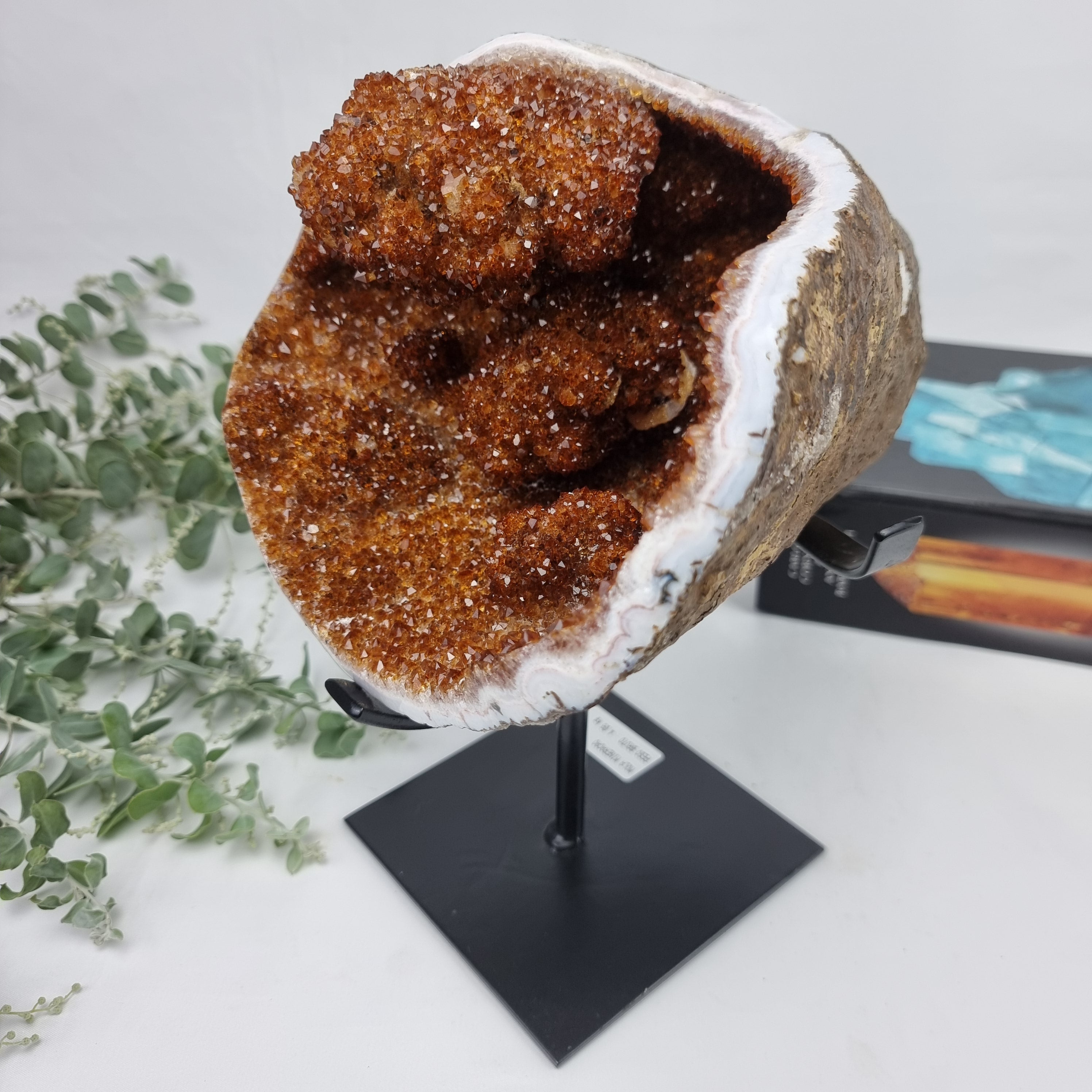 Exotic Super Special CITRINE | Black Iron Base | Weight 4.06 Kgs, Height 25 cm | Handmade Piece BR Crystals