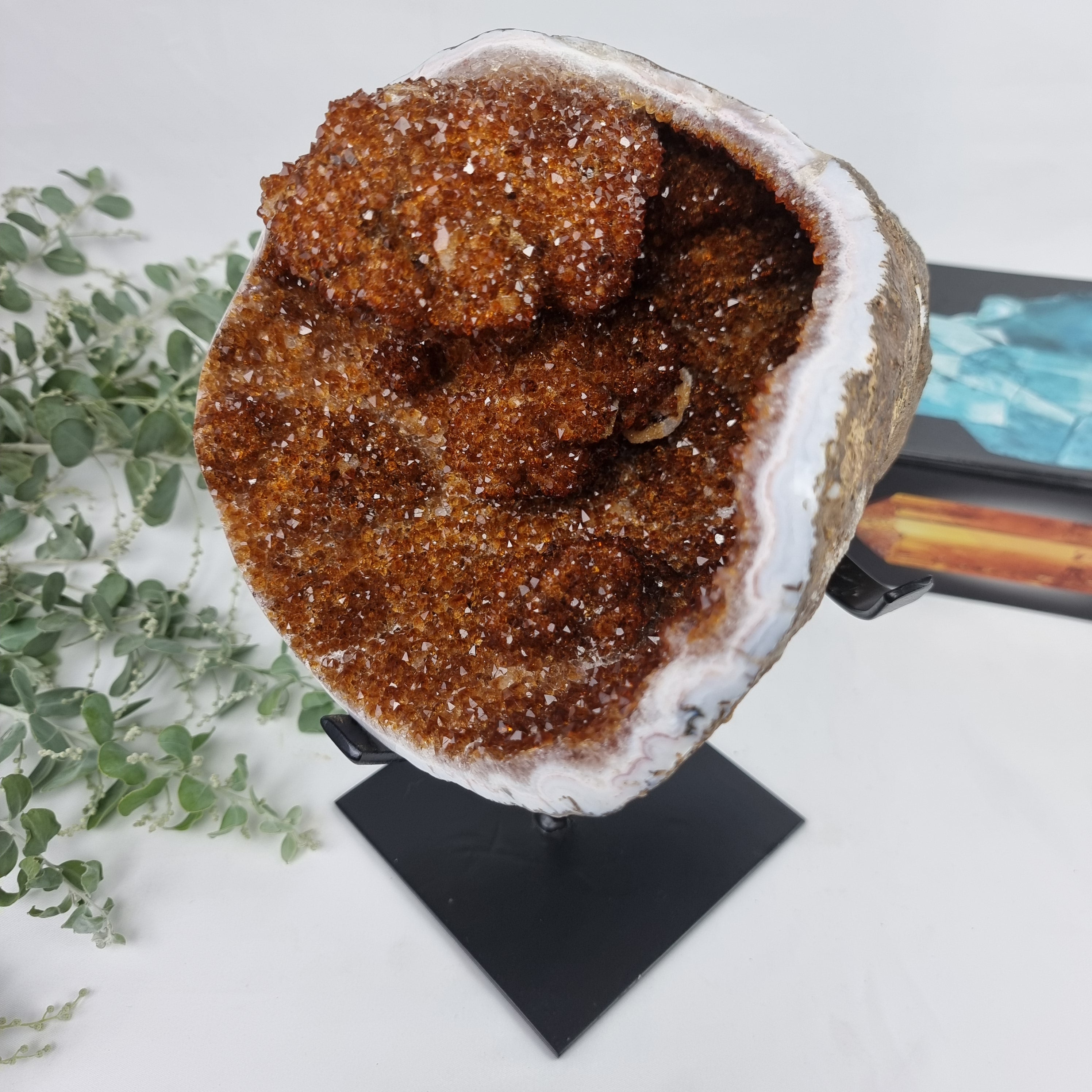 Exotic Super Special CITRINE | Black Iron Base | Weight 4.06 Kgs, Height 25 cm | Handmade Piece BR Crystals