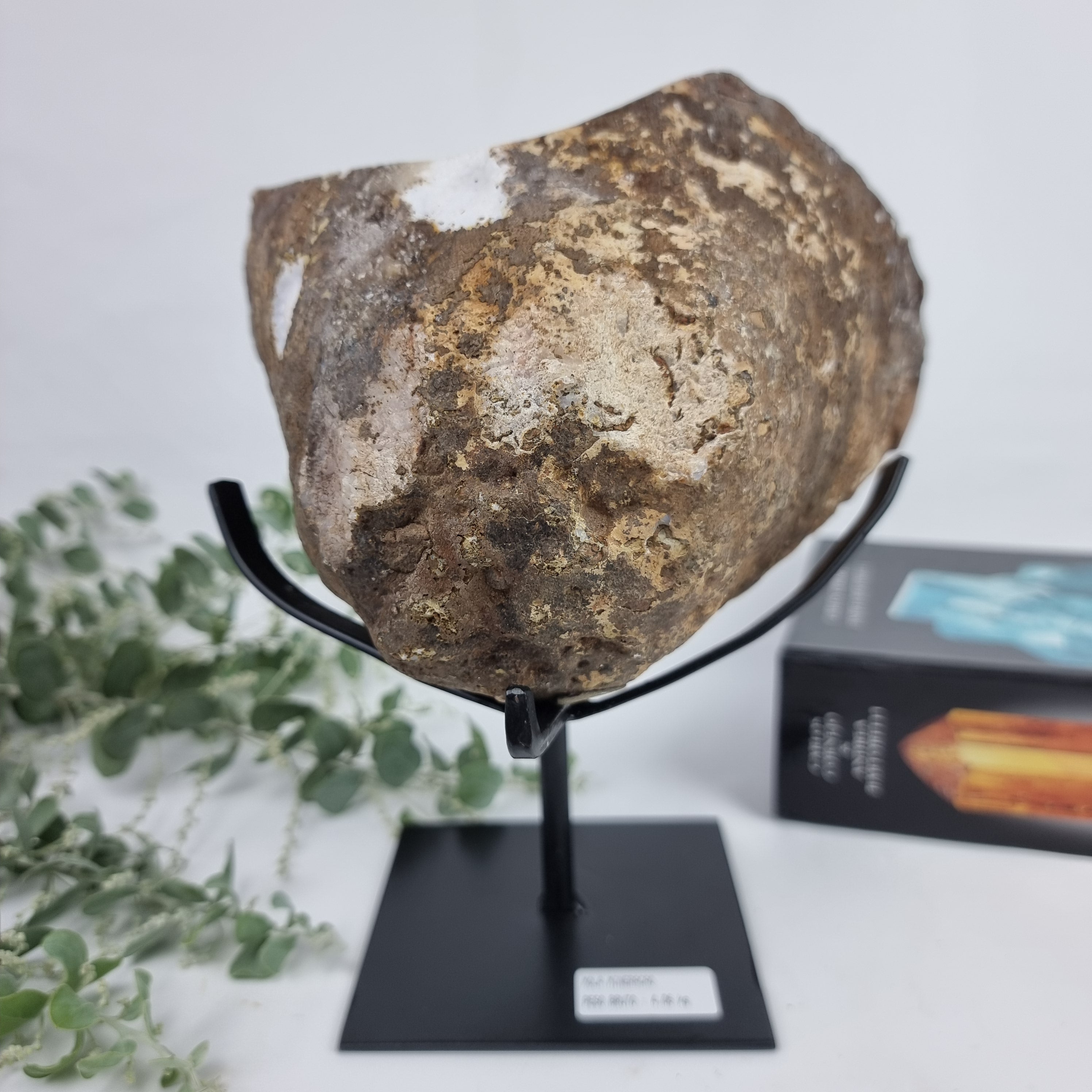 Exotic Super Special CITRINE | Black Iron Base | Weight 4.06 Kgs, Height 25 cm | Handmade Piece BR Crystals