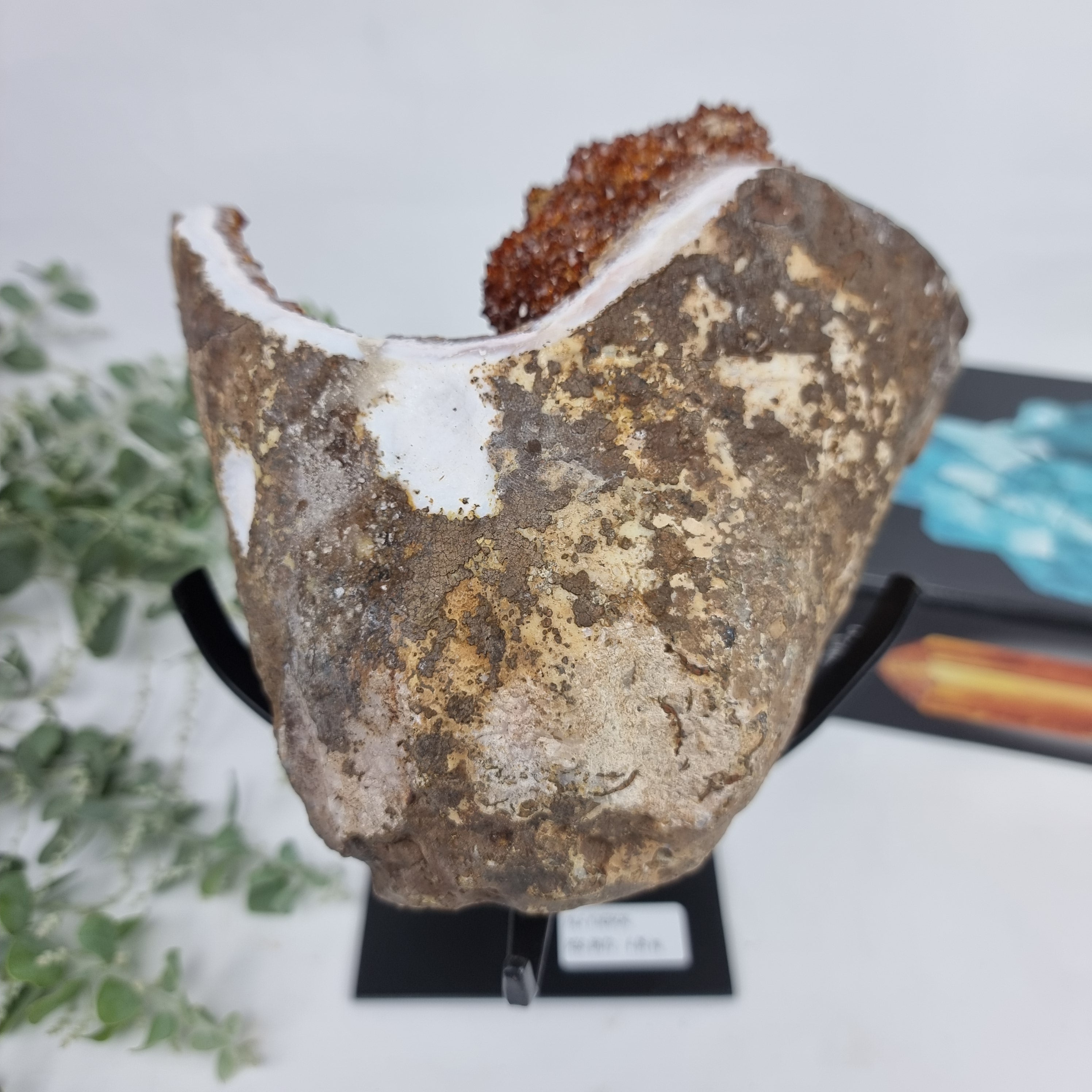 Exotic Super Special CITRINE | Black Iron Base | Weight 4.06 Kgs, Height 25 cm | Handmade Piece BR Crystals