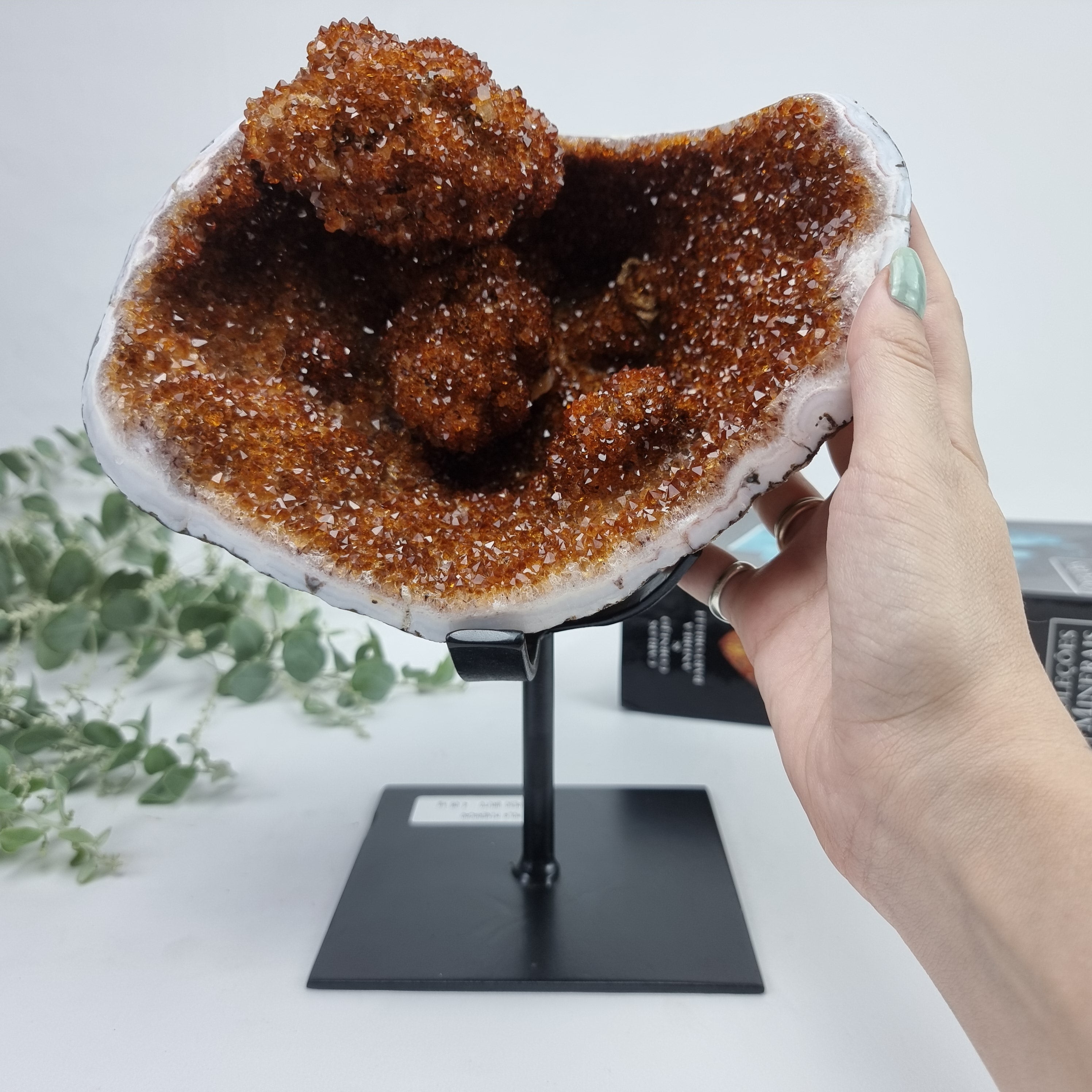 Exotic Super Special CITRINE | Black Iron Base | Weight 4.06 Kgs, Height 25 cm | Handmade Piece BR Crystals