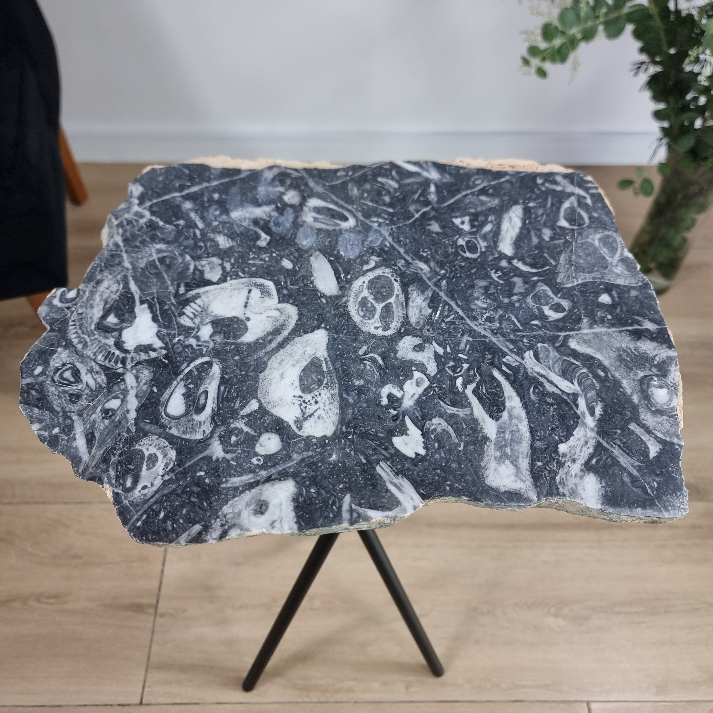 Natural SKULL JASPER Side Table | Black Tripod Base | 60 cm Height - Handmade Piece BR Crystals