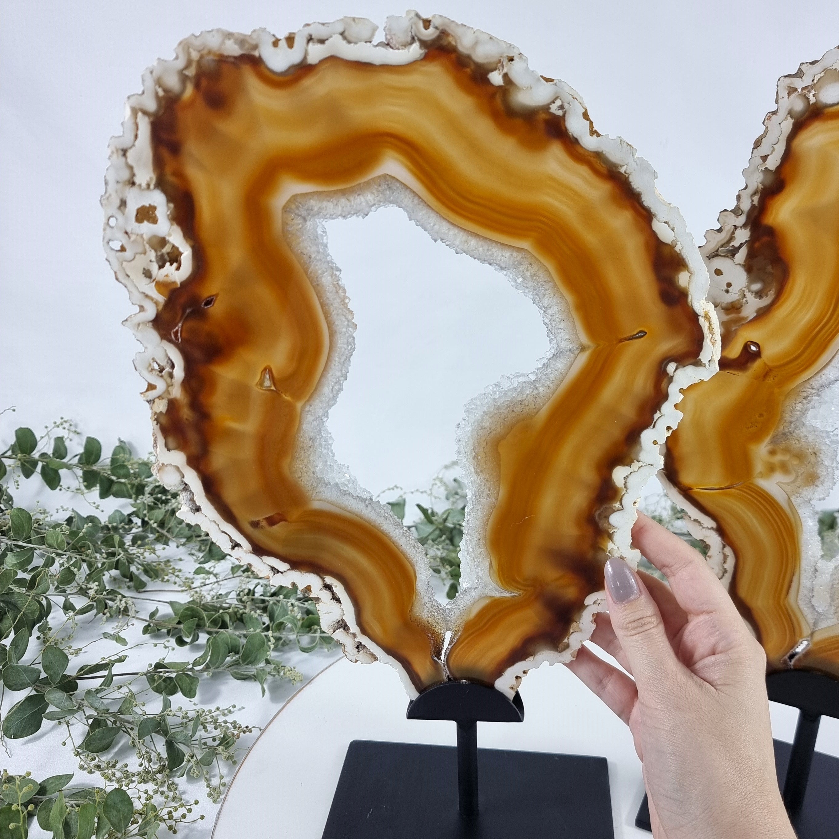 Special Large Natural Brazilian Agate Slice on a Metal Stand, 14.0" Tall Weight: 5.07 lbs - Set of 02