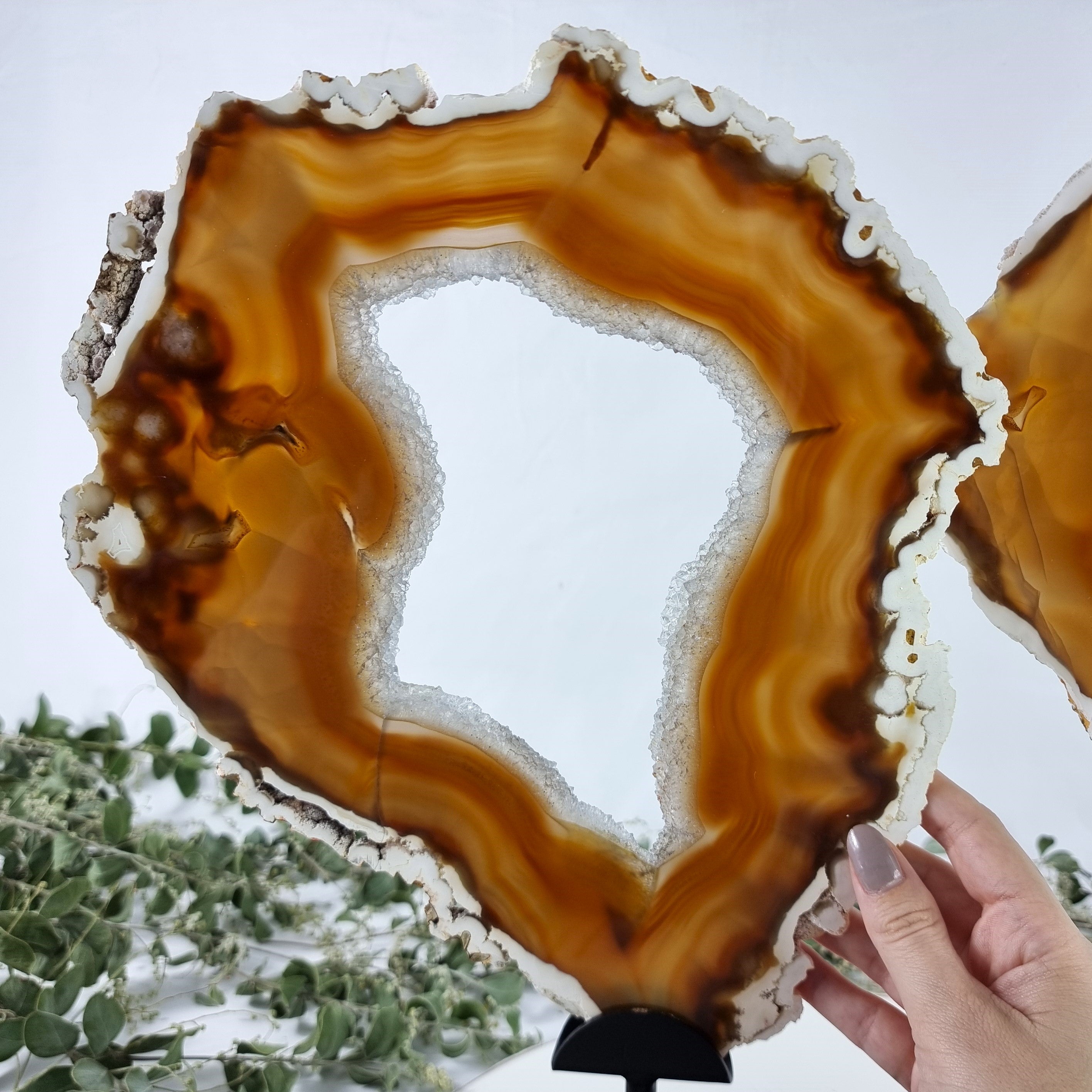 Special Large Natural Brazilian Agate Slice on a Metal Stand, 14.1" Tall Weight: 6.2 lbs - Set of 02