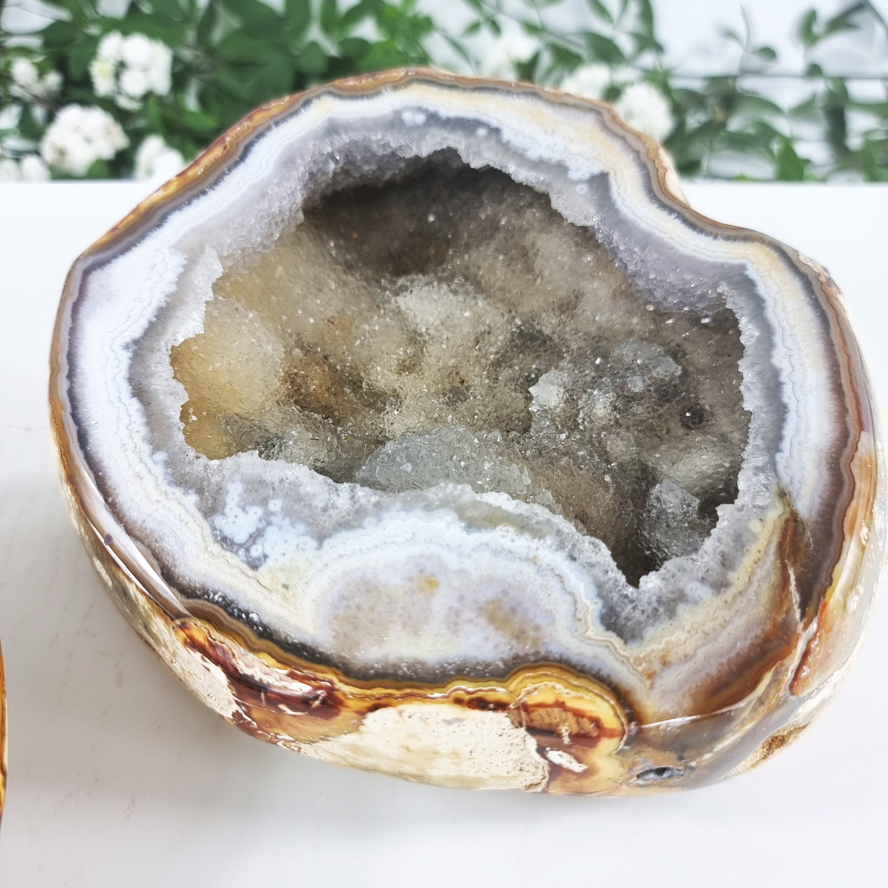 Quality Agate Geode "Jewelry Box", 5.70 lbs & 4.33" Tall #by Brcrystals