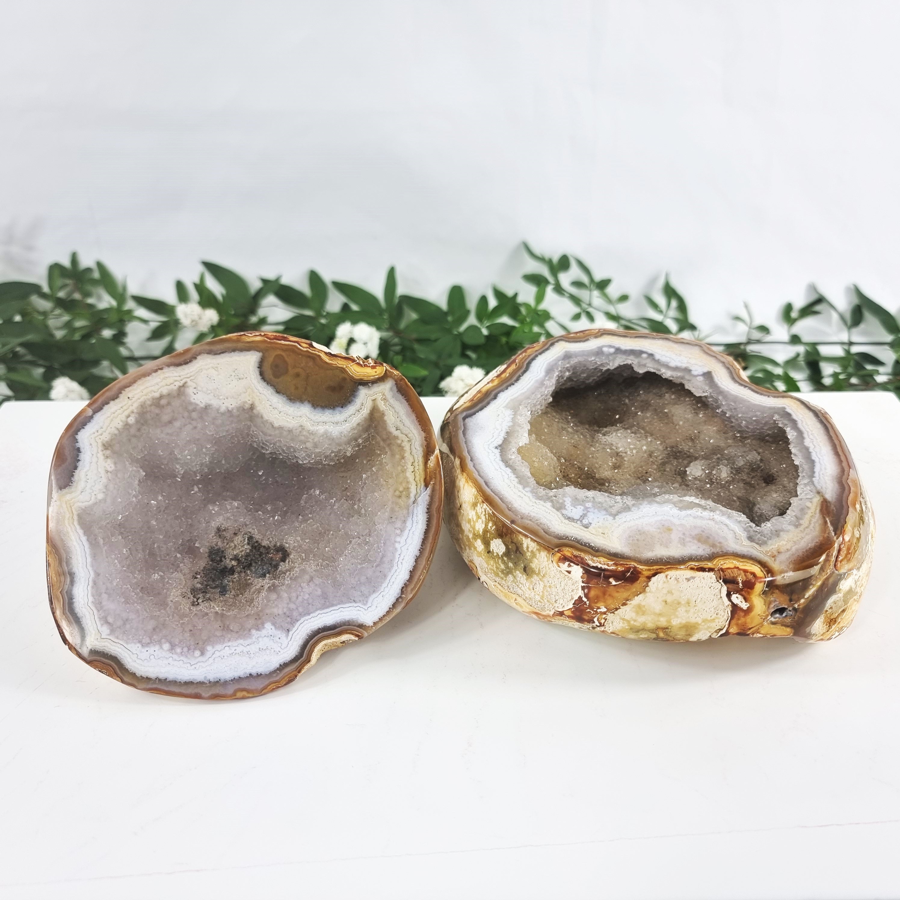 Quality Agate Geode "Jewelry Box", 5.70 lbs & 4.33" Tall #by Brcrystals