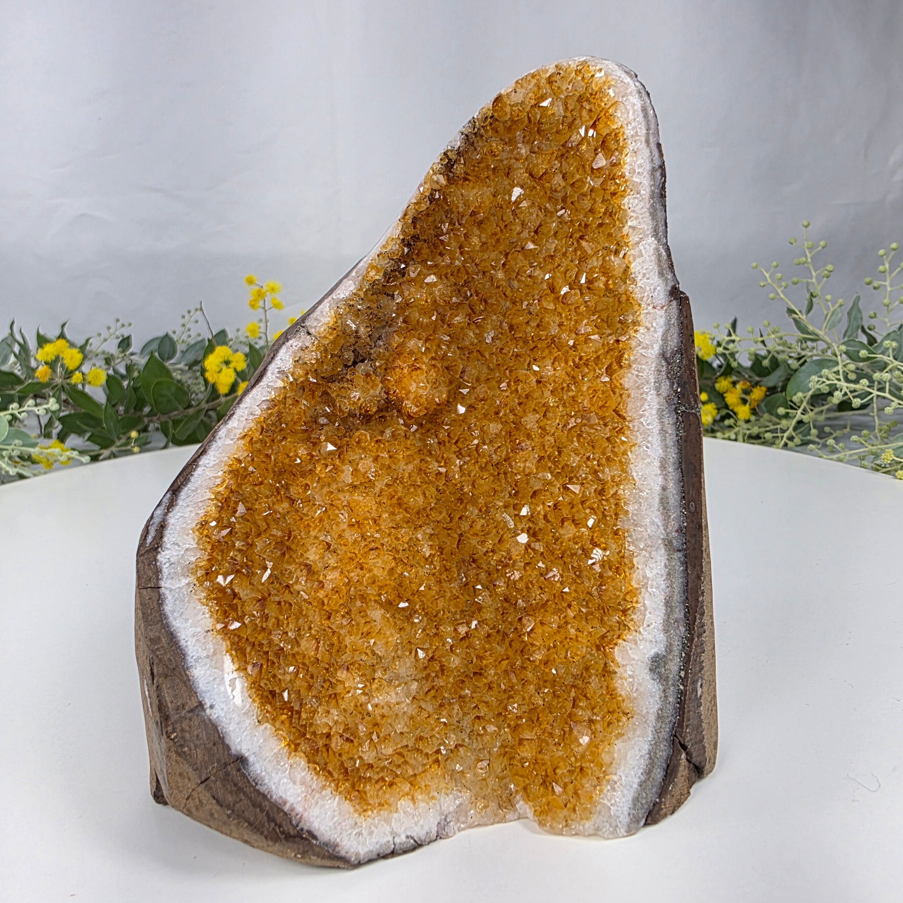 Drusa de Citrino Especial | Peso 0,80 kg, Altura de 13 cm | Pieza Artesanal BR Crystals