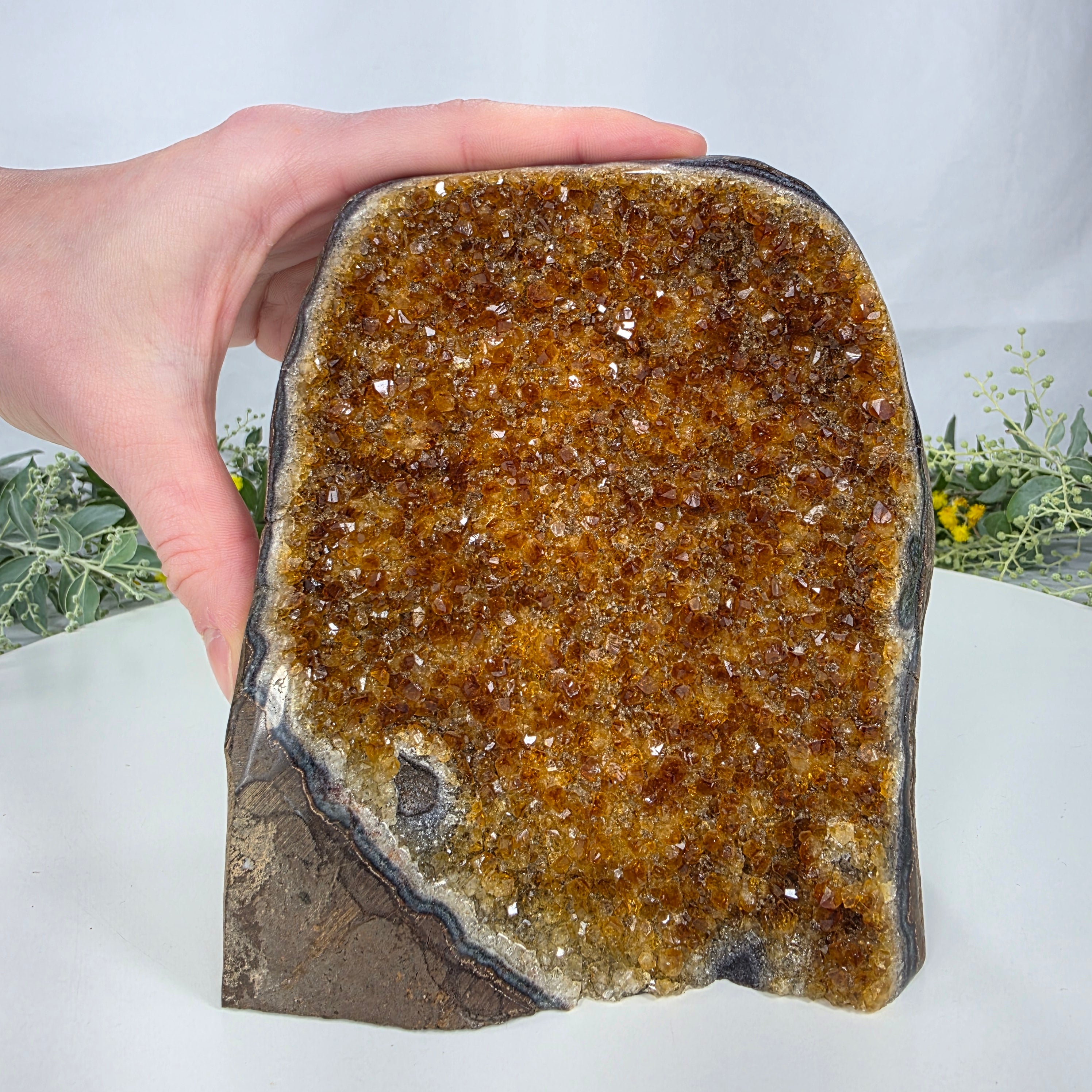 Drusa de Citrino Especial | Peso 1,15 Kgs, Altura de 14 cm | Pieza Artesanal BR Crystals