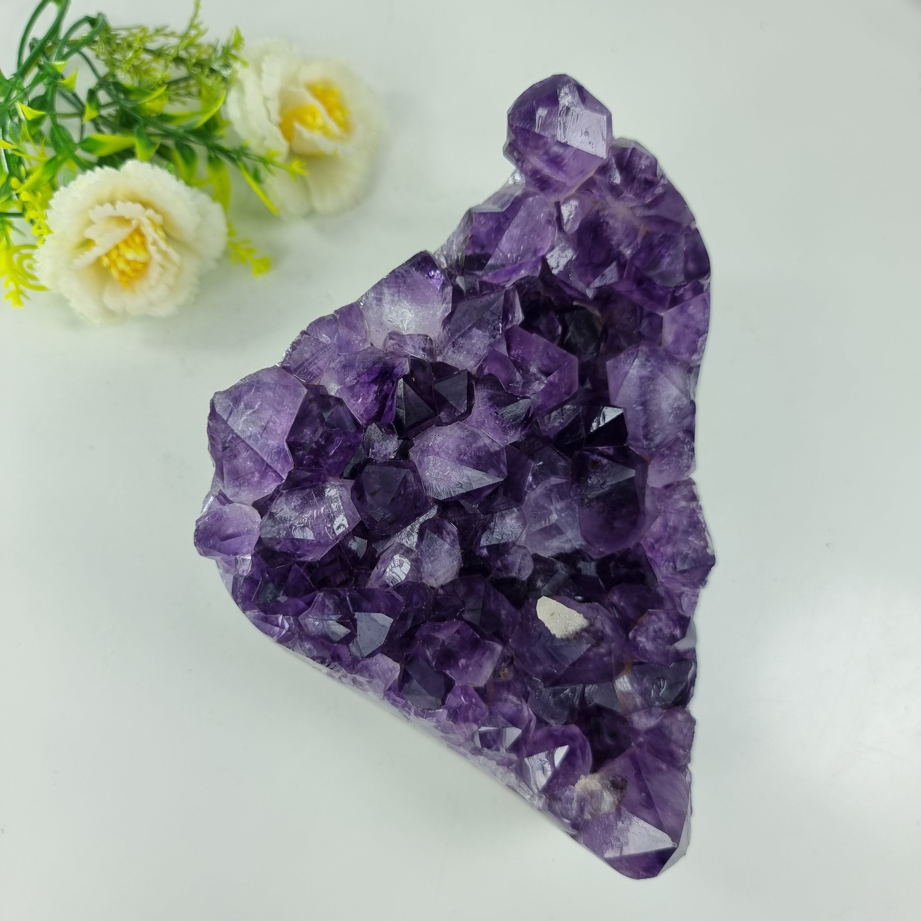 Drusa de Amatista con Cristales Violetas de 1,678 Kgs, Energía, Belleza y Sofisticación