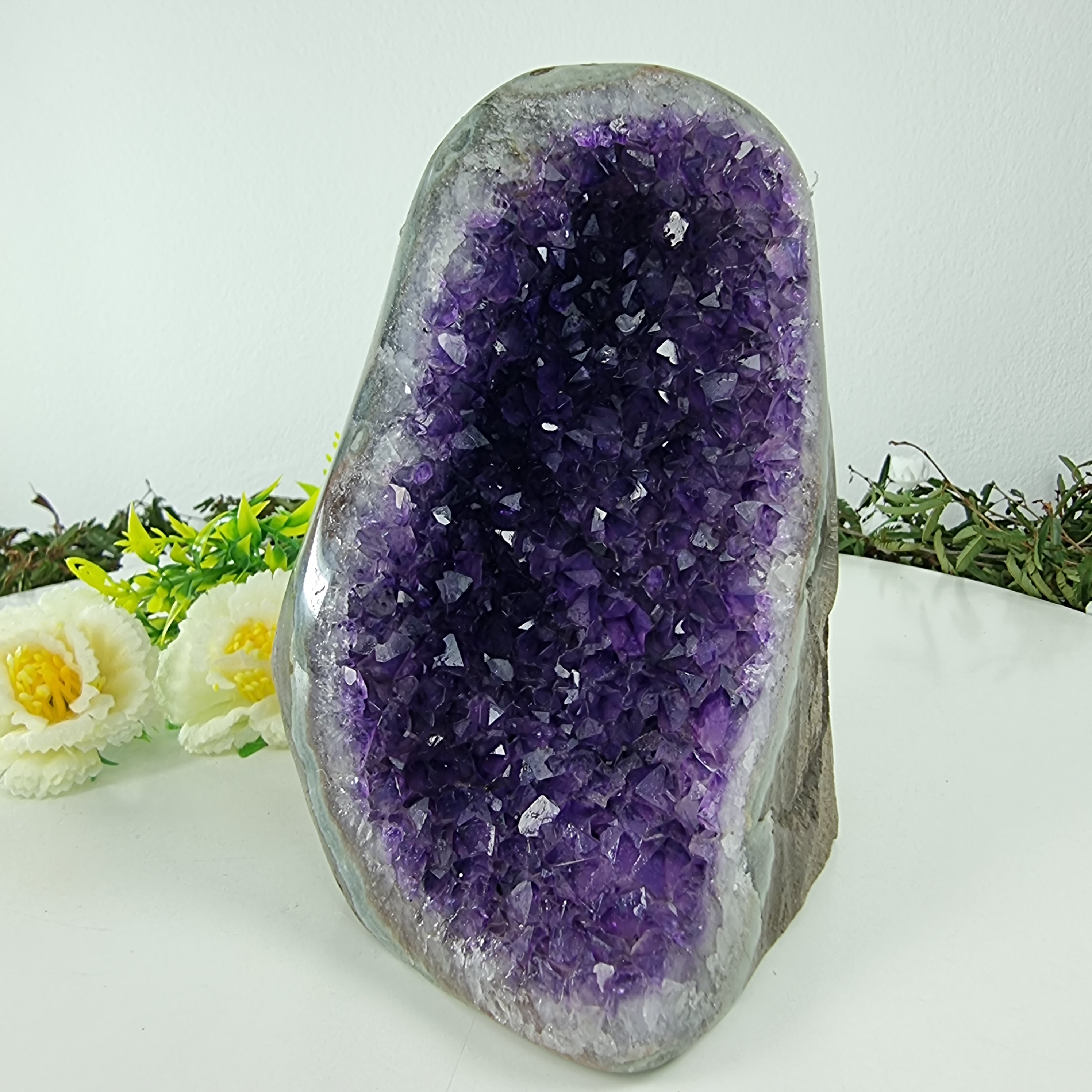 Drusa de Amatista con Cristales Especiales, 1,50 Kgs, Energía, Belleza y Sofisticación