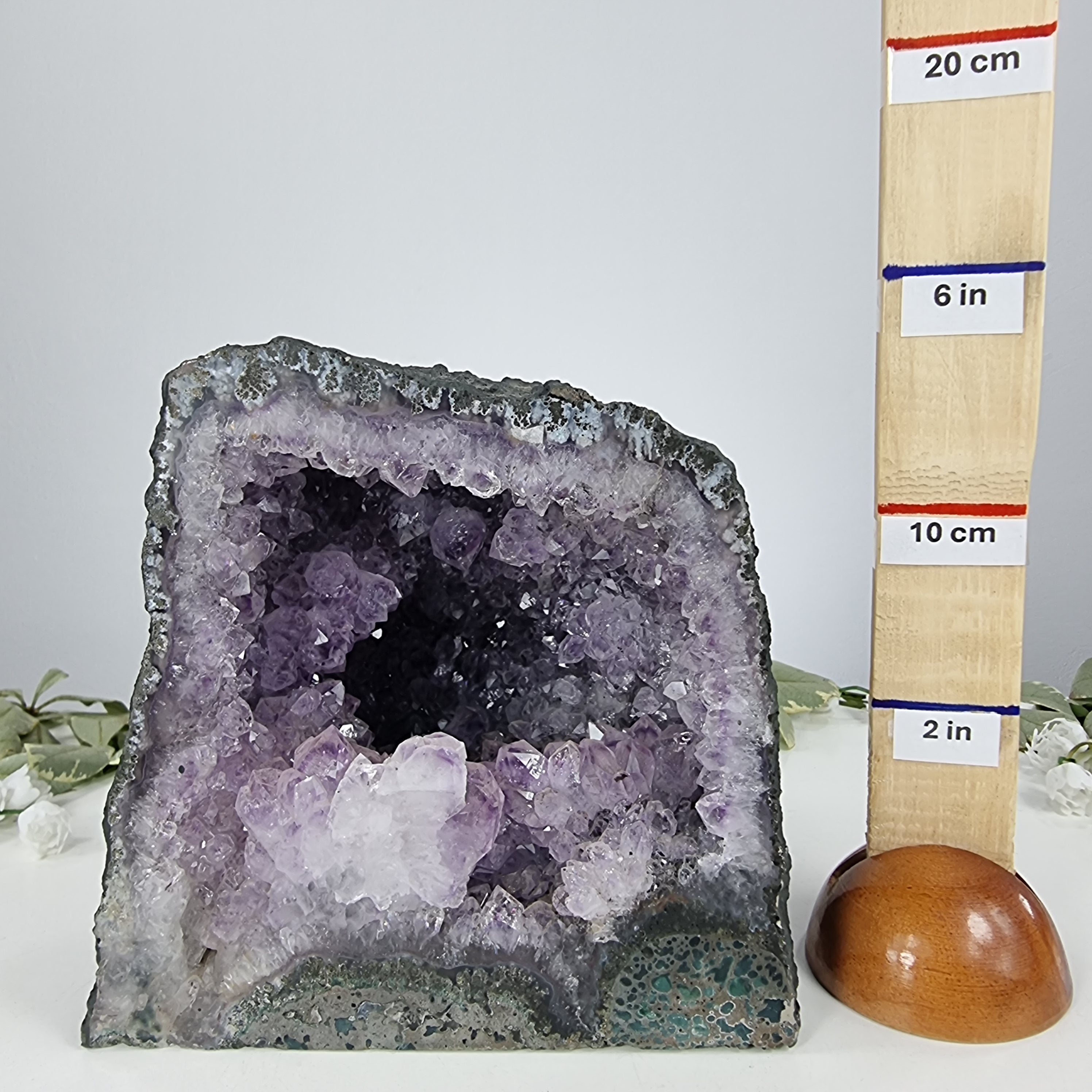 Capilla de Amatista Bruta Drusa - Geoda de Amatista 3,08 Kgs, Energía, Belleza y Sofisticación