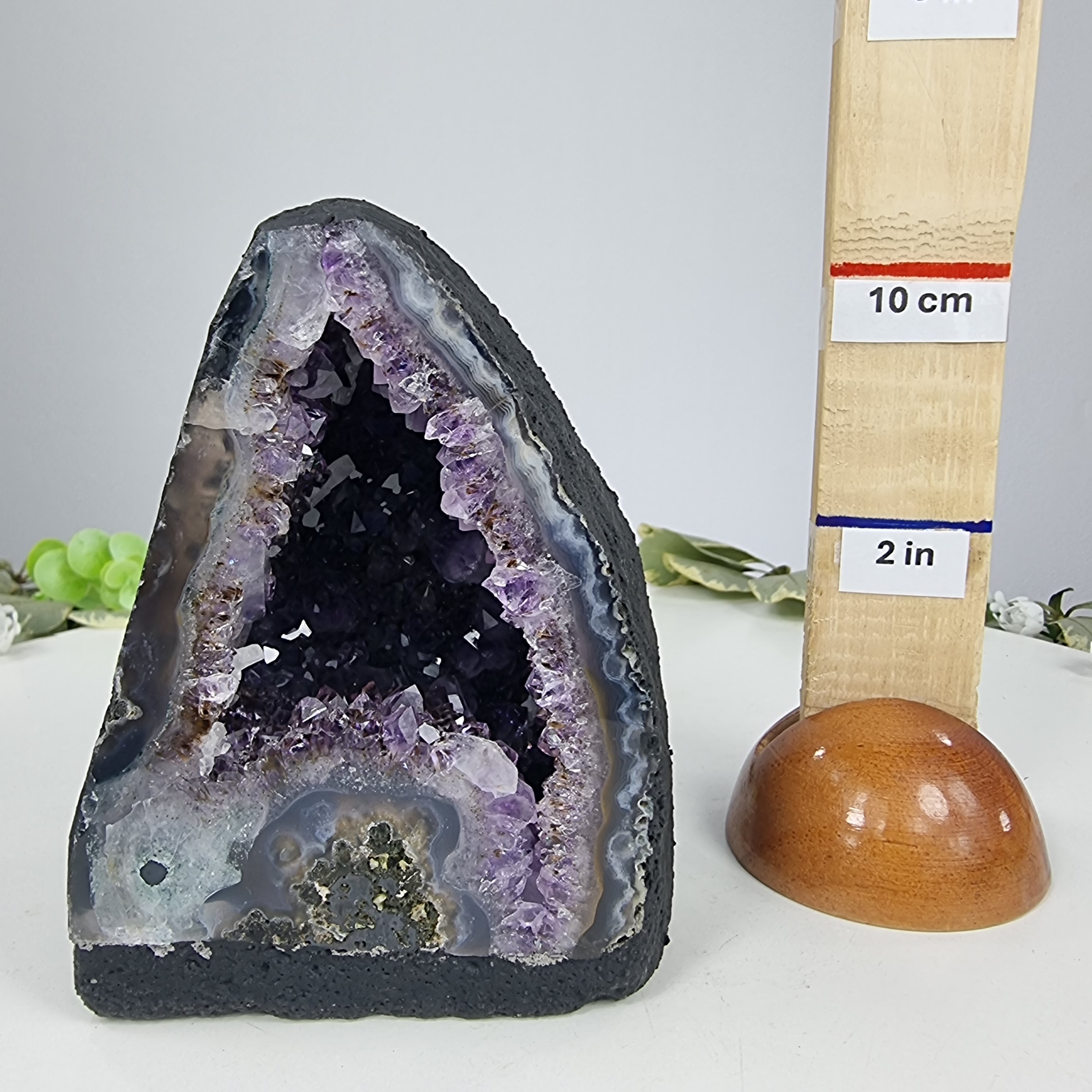 Capilla de Amatista en Bruto Drusa - Geoda de Amatista 1,10 Kgs, Energía, Belleza y Sofisticación
