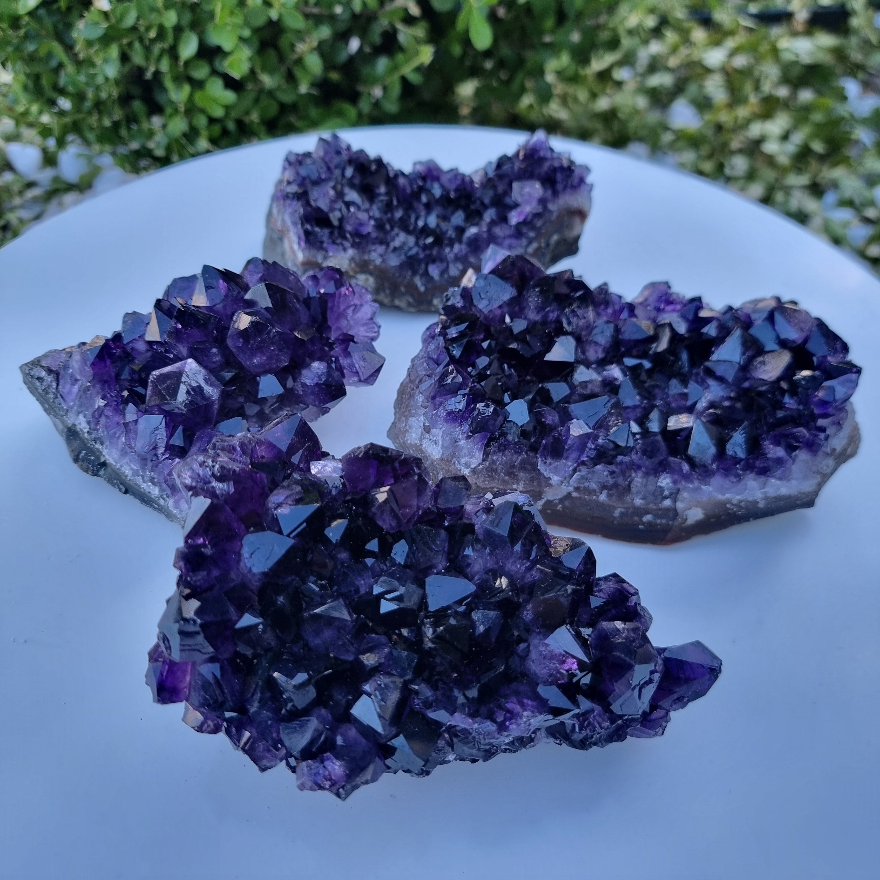 Drusas de Amatista Súper Violeta | Peso 1,70 Kgs, Longitud 18 cm | Energía, Belleza y Sofisticación