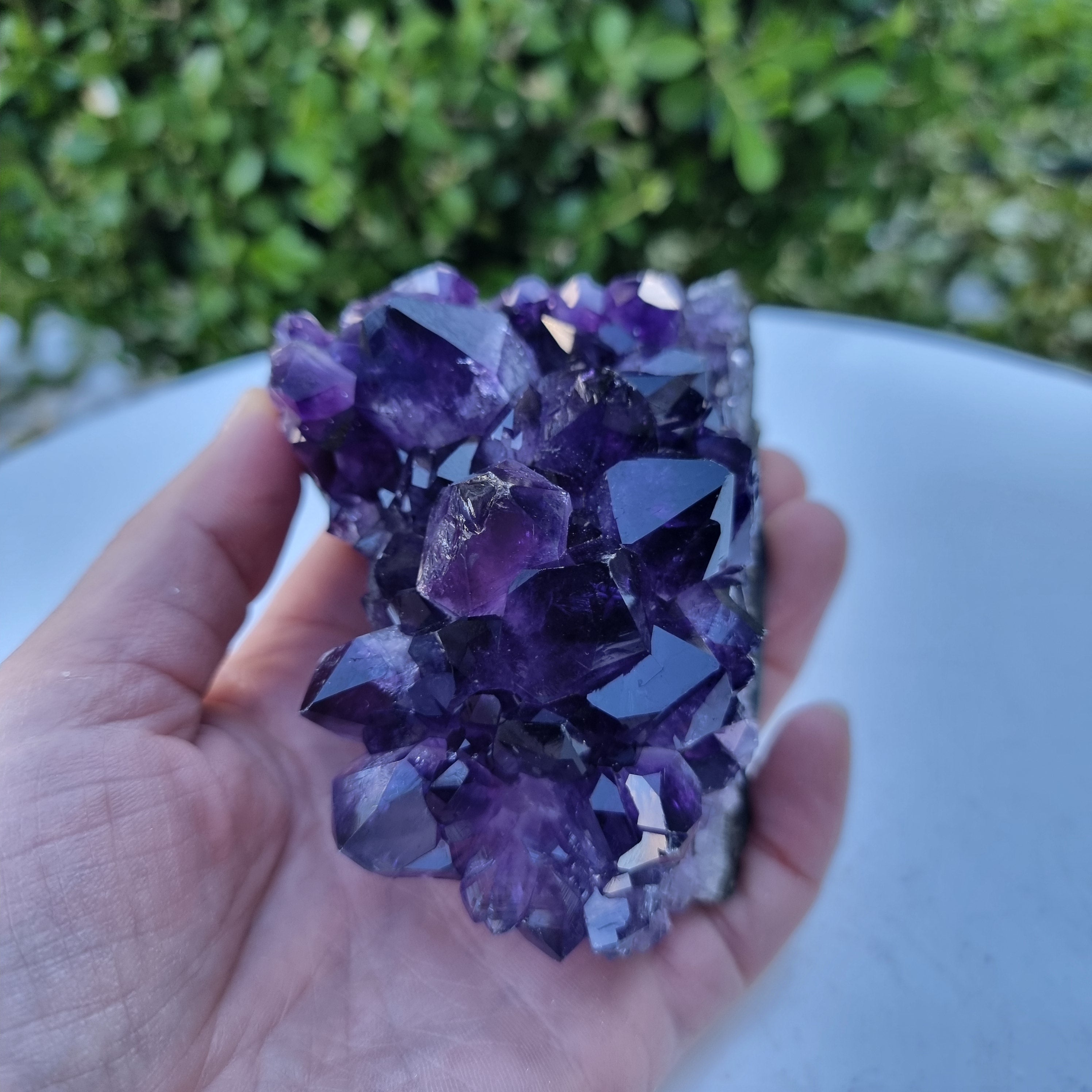 Drusas de Amatista Súper Violeta | Peso 1,70 Kgs, Longitud 18 cm | Energía, Belleza y Sofisticación