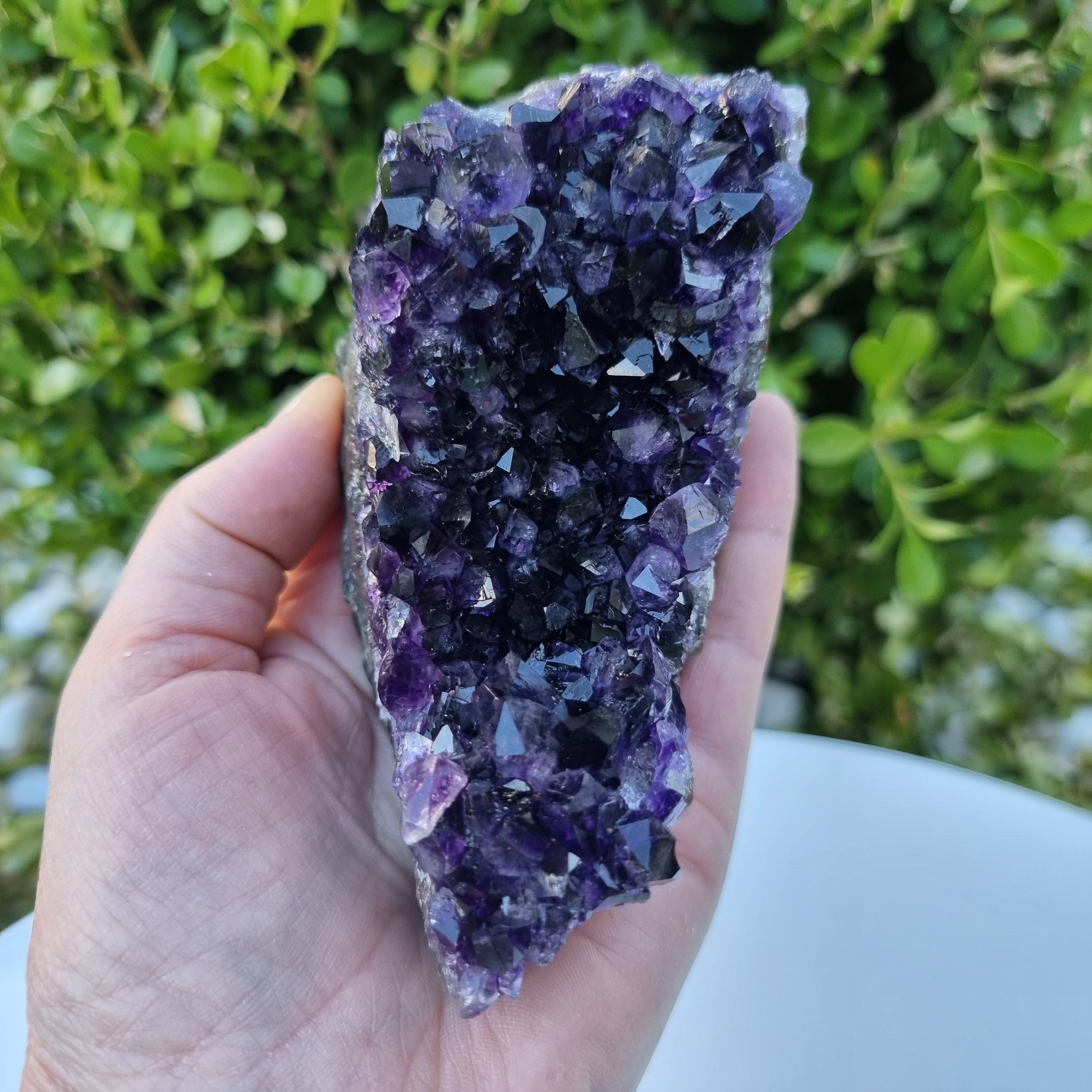 Drusas de Amatista Súper Violeta | Peso 1,70 Kgs, Longitud 18 cm | Energía, Belleza y Sofisticación