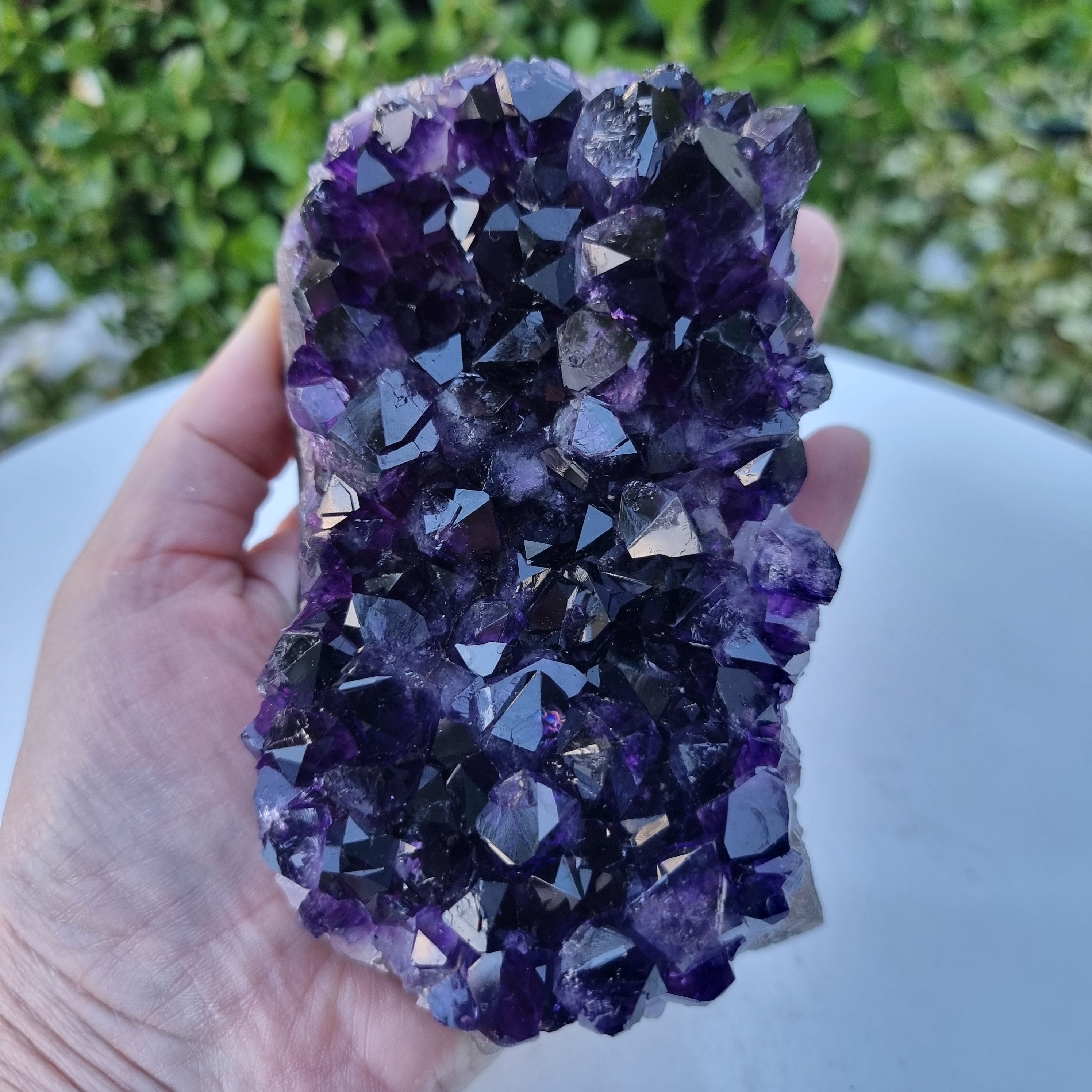 Drusas de Amatista Súper Violeta | Peso 1,70 Kgs, Longitud 18 cm | Energía, Belleza y Sofisticación