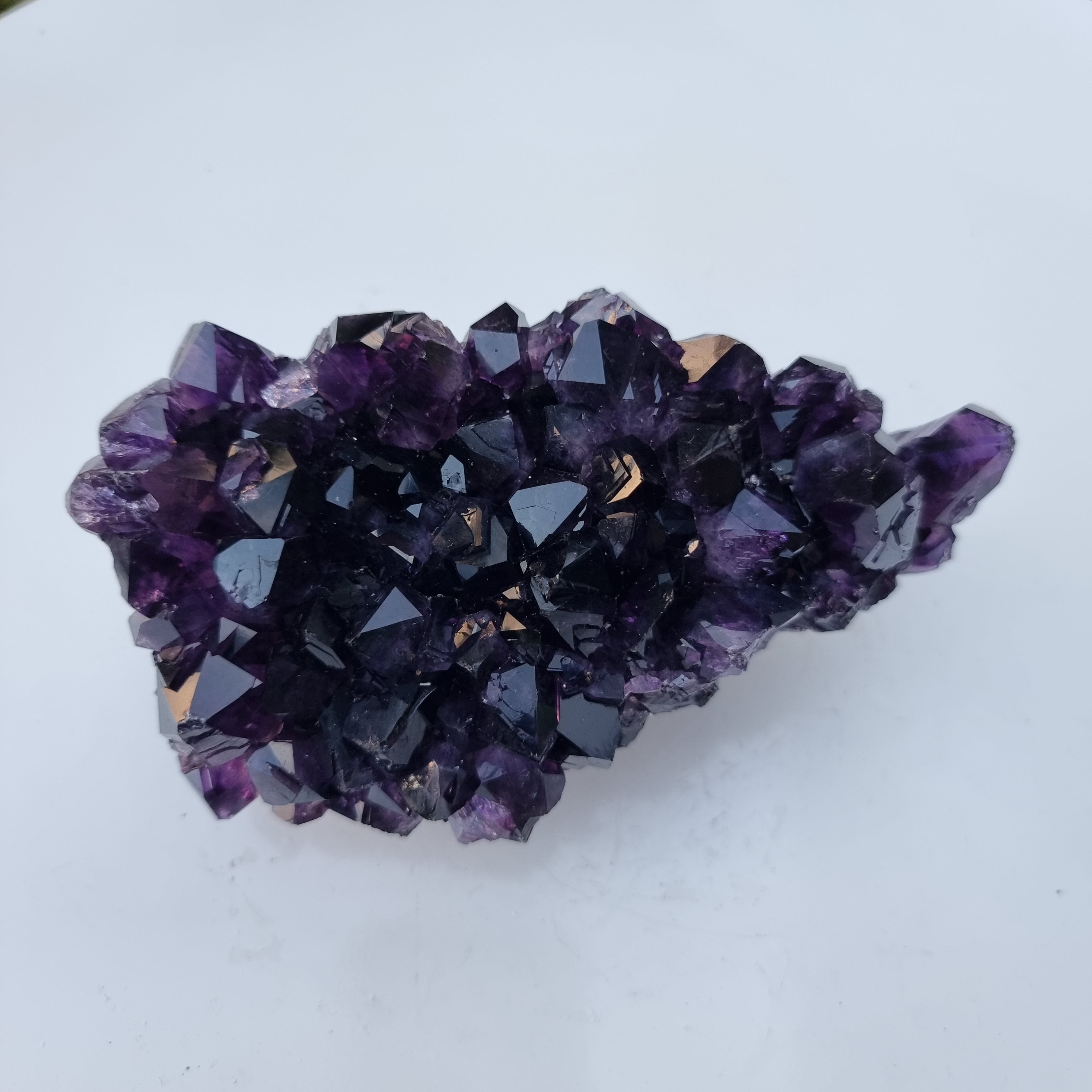 Drusas de Amatista Súper Violeta | Peso 1,70 Kgs, Longitud 18 cm | Energía, Belleza y Sofisticación