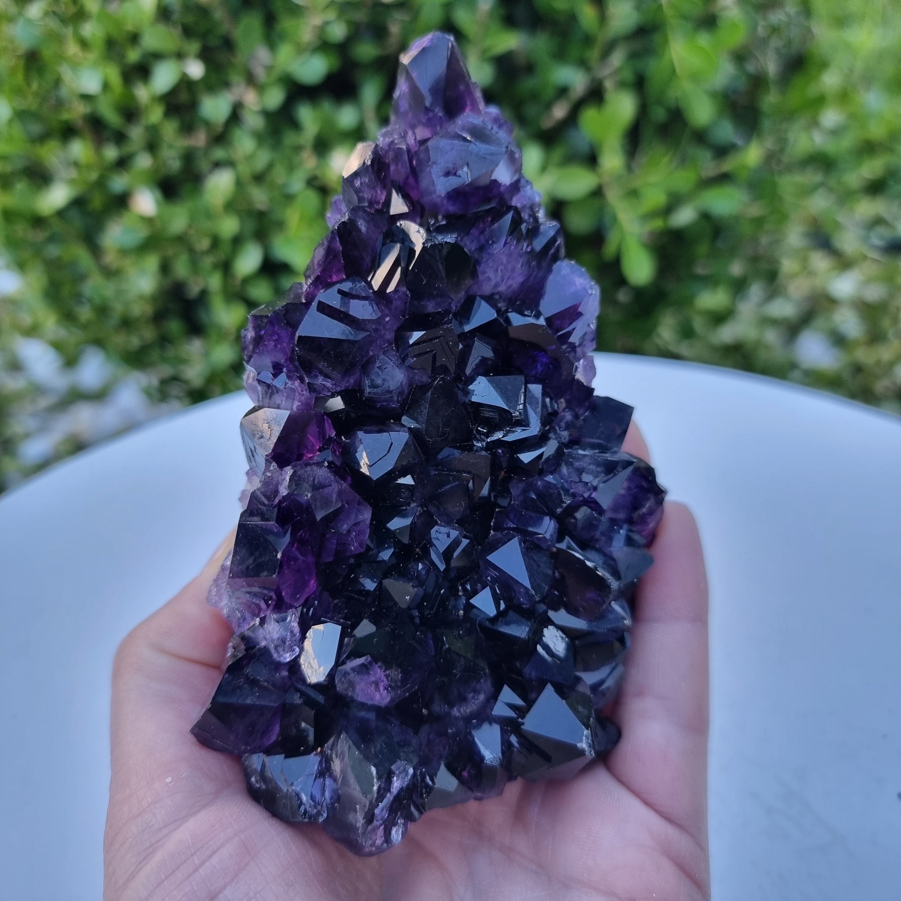 Drusas de Amatista Súper Violeta | Peso 1,70 Kgs, Longitud 18 cm | Energía, Belleza y Sofisticación