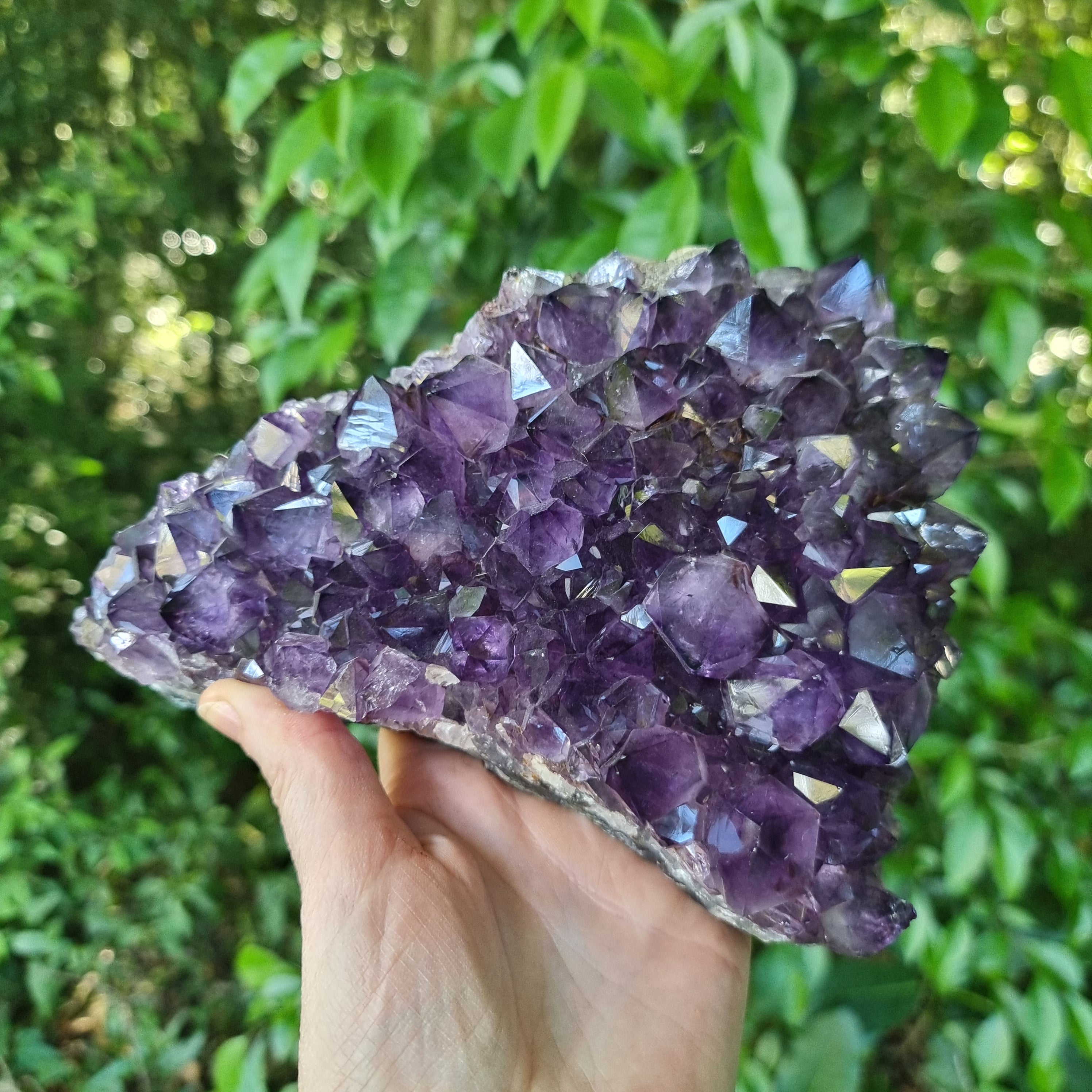 Drusas de Amatista Súper Violeta | Peso 1,90 Kgs, Longitud 20 cm | Energía, Belleza y Sofisticación